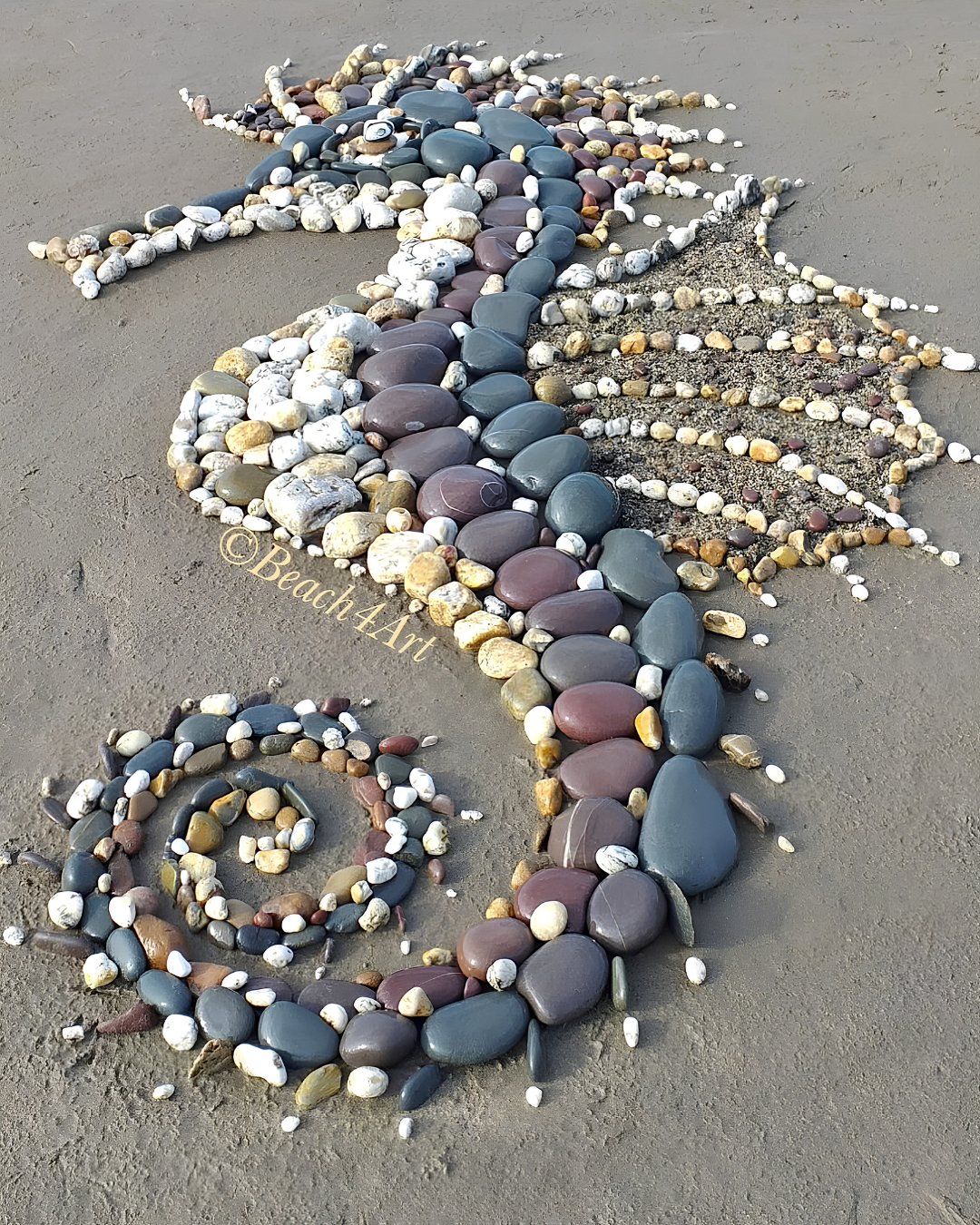 Seahorse pebble art by @beach4art