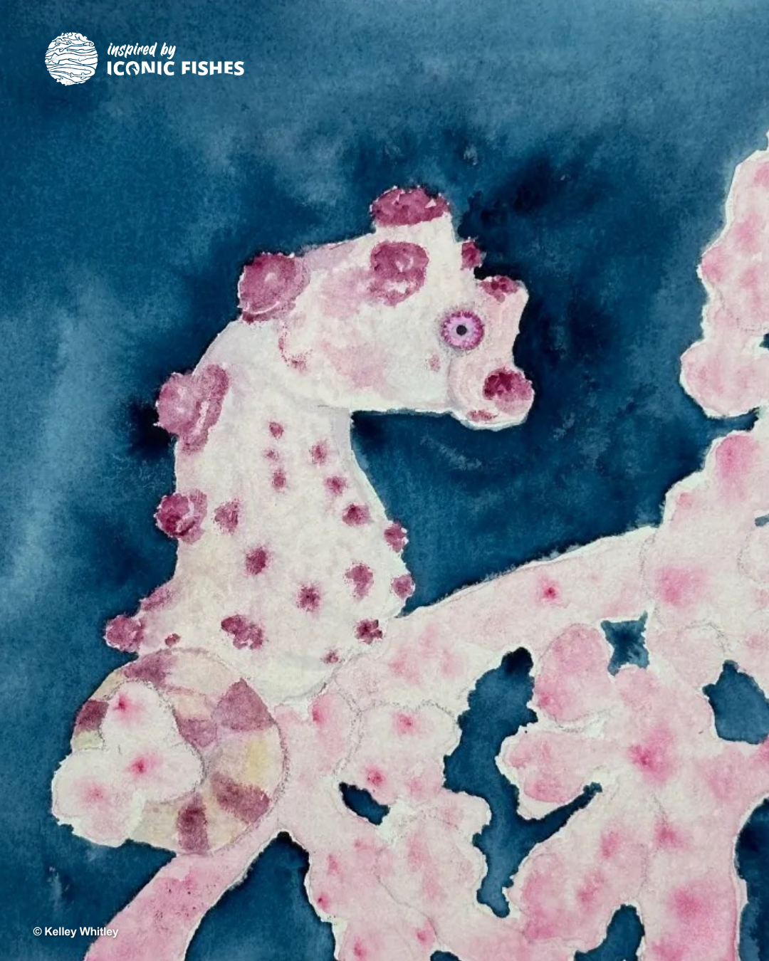 Kelley Whitley Seahorses.png