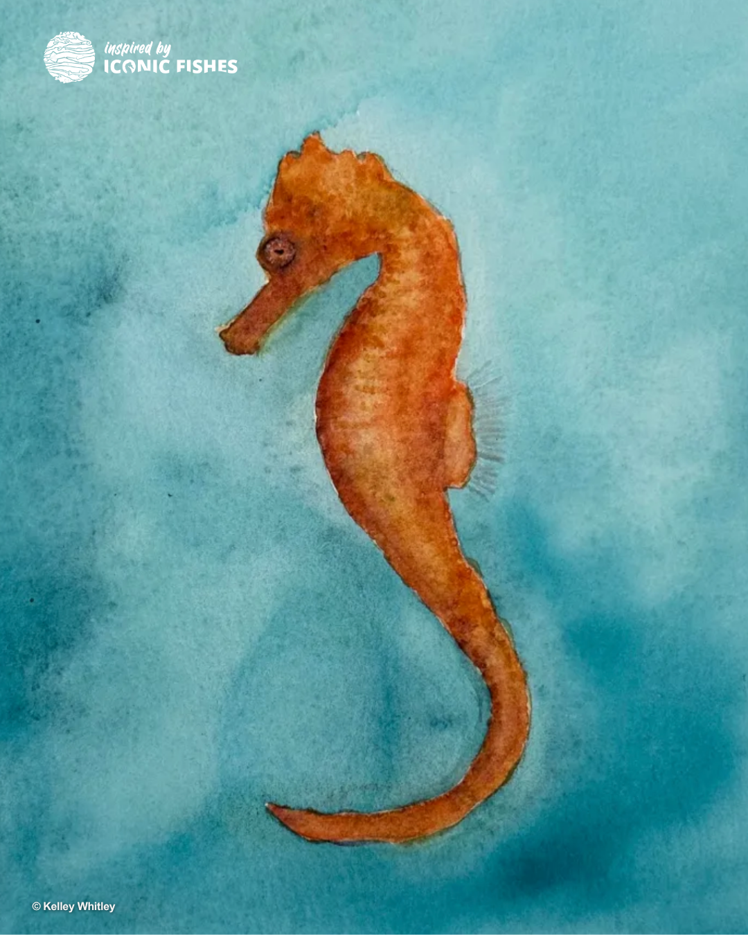 Kelley Whitley Seahorses.png