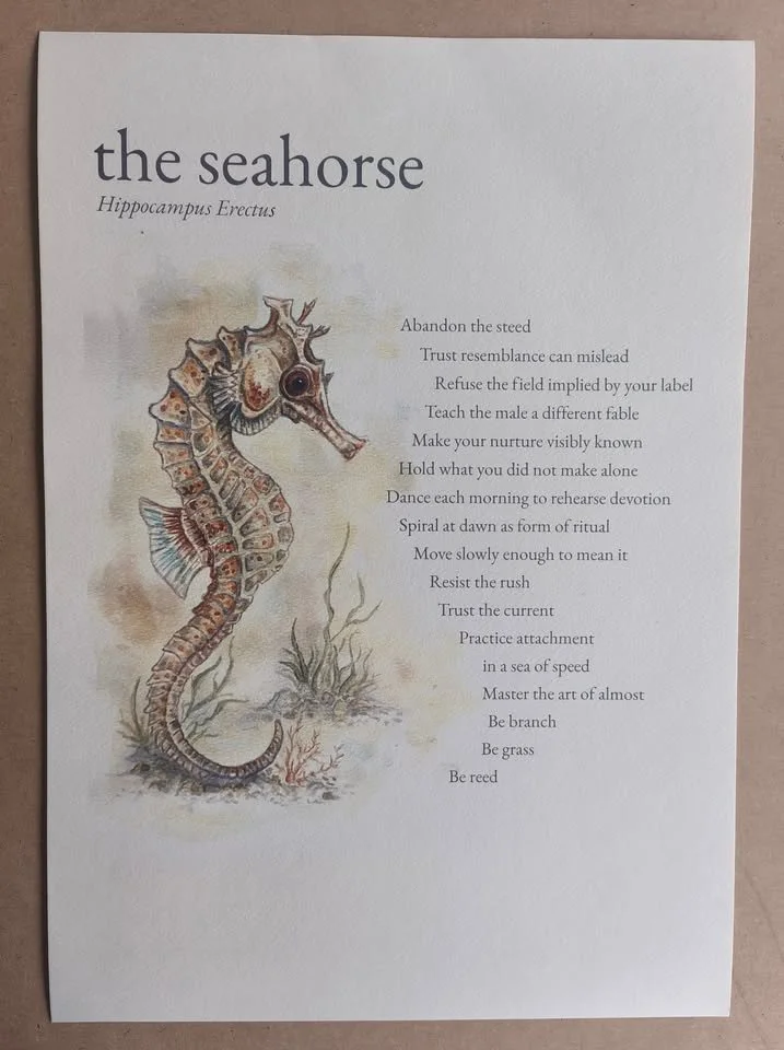 Seahorse art and poem by Chris McCabe