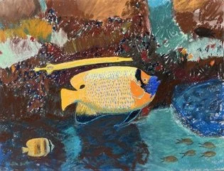 Dafila Scott captures the #IconicFishes of Raja Ampat