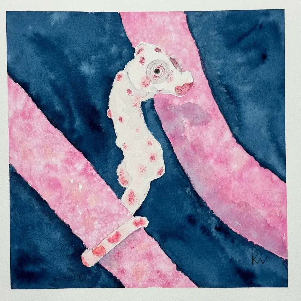 Denise Pygmy Seahorse by Kelley Whitley.