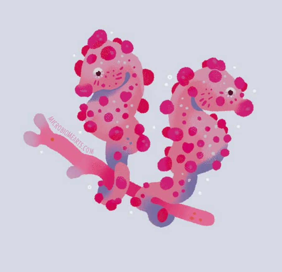 Pygmy seahorse art by Sami Mark