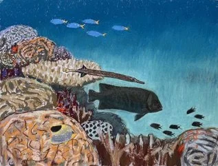 Red mouth grouper and trumpet fish shadowing. Pastel 38x51cm. By Dafila Scott