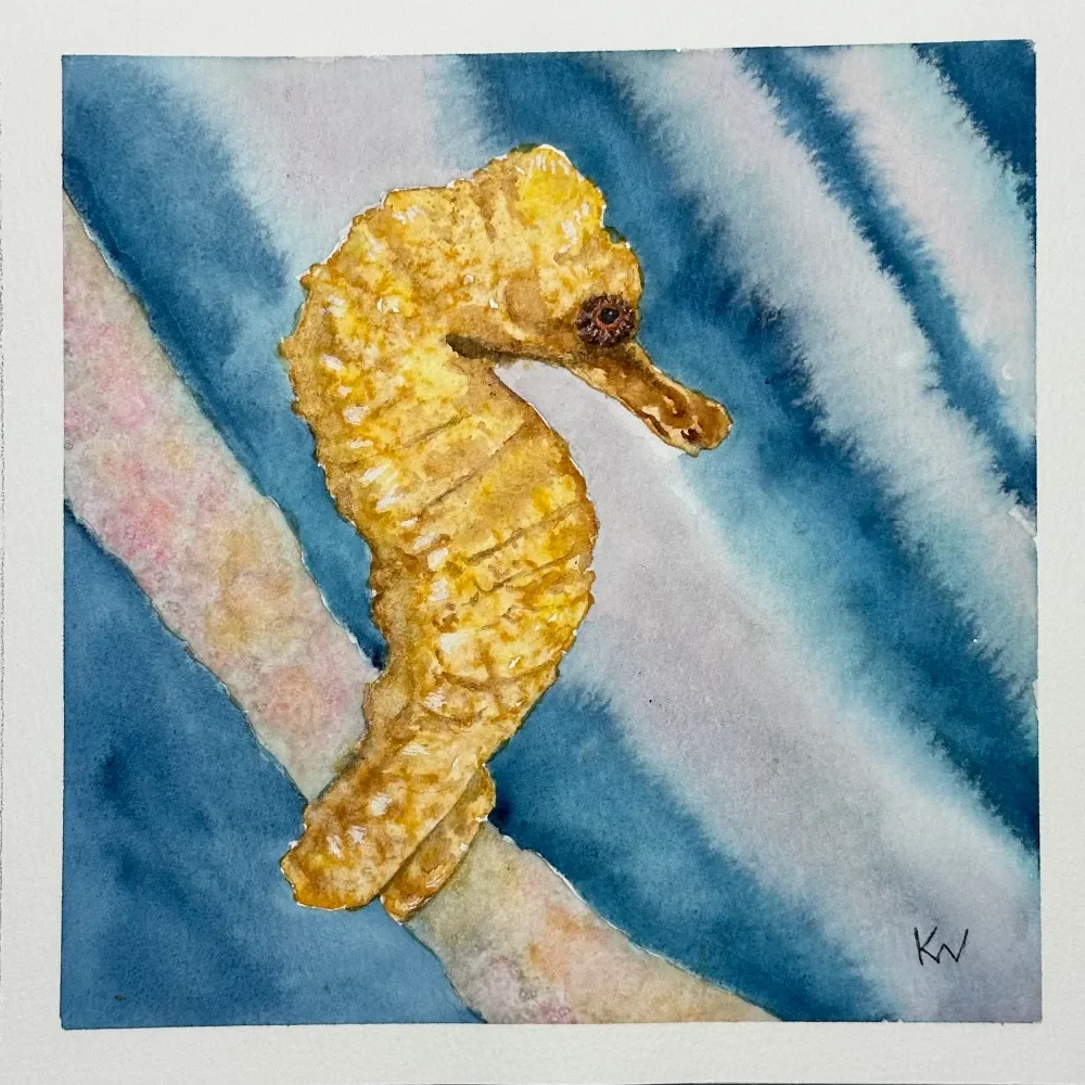 Longsnout Seahorse by Kelley Whitley. 