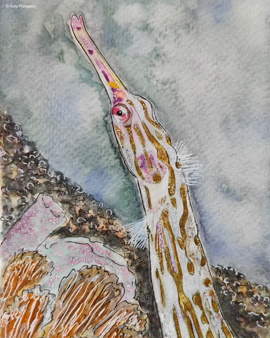 A pale banded pipefish by Amy Pangestu.