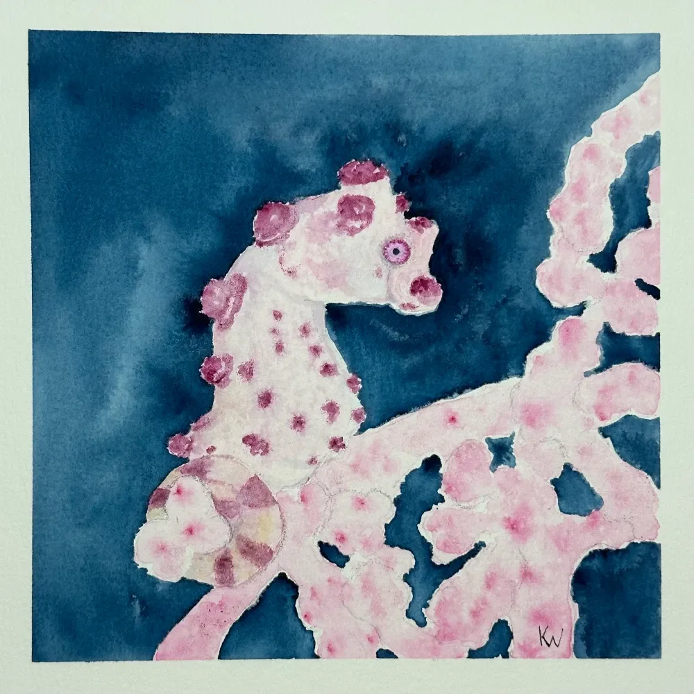 Bargibant Pygmy Seahorse by Kelley Whitley.