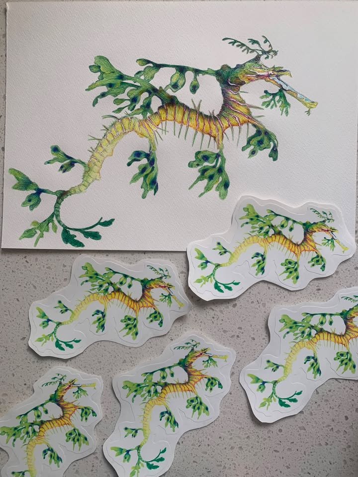 Seadragon illustration by Brooke.