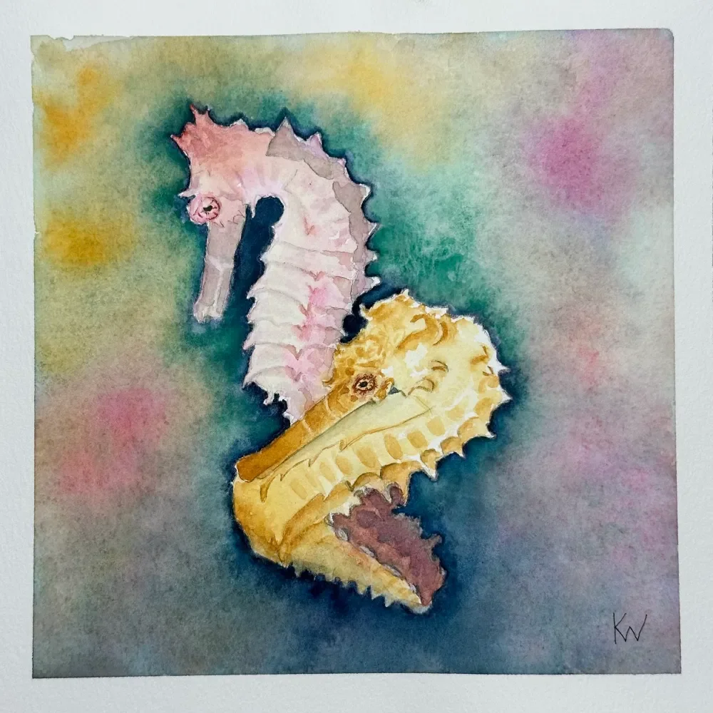 Longnose Seahorses by Kelley Whitley.