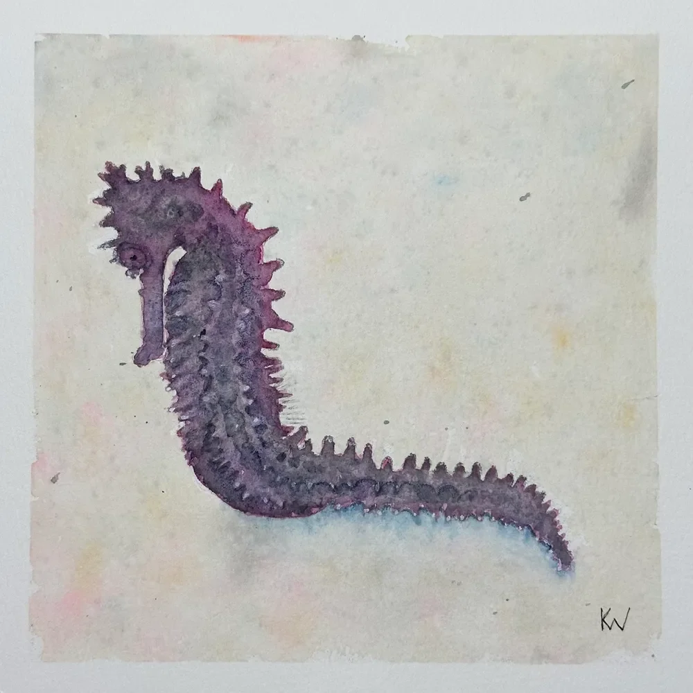 Spiny Seahorse by Kelley Whitley.