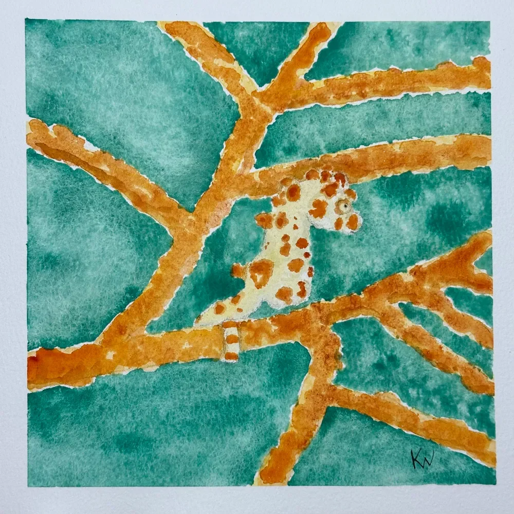 Bargibant Pygmy Seahorse by Kelley Whitley.
