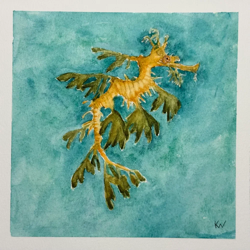 Leafy Seadragon by Kelley Whitley.