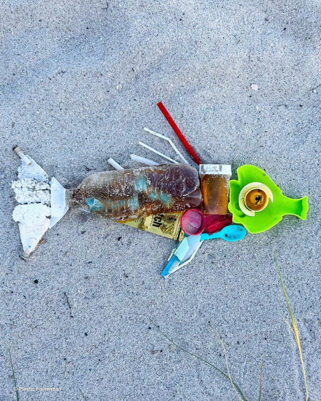 © Plastic Fisherman.png