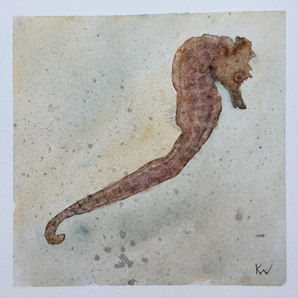 Lined Seahorse by Kelley Whitley.