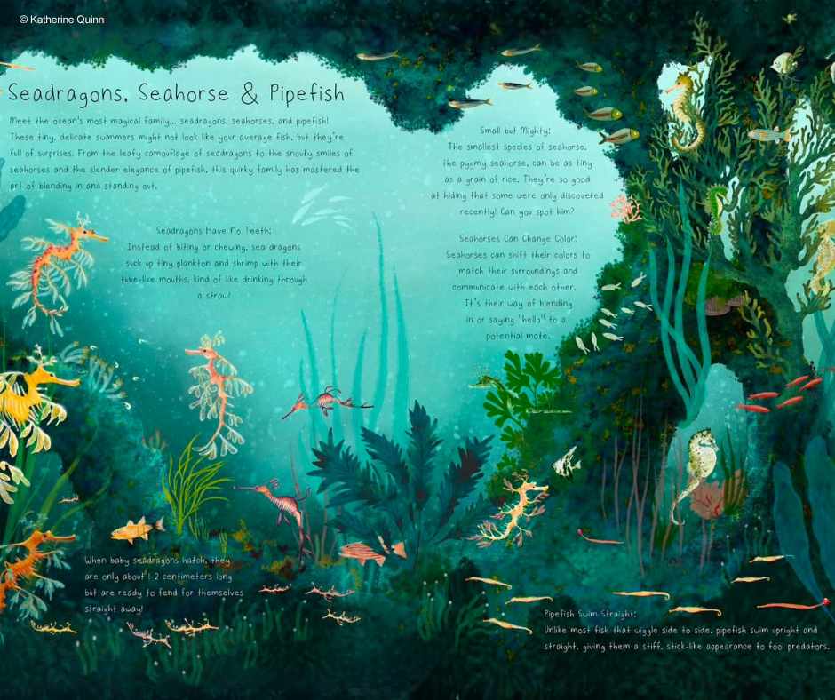 Seadragon, Seahorse, & pipefish illustrations by Katherine Quinn.