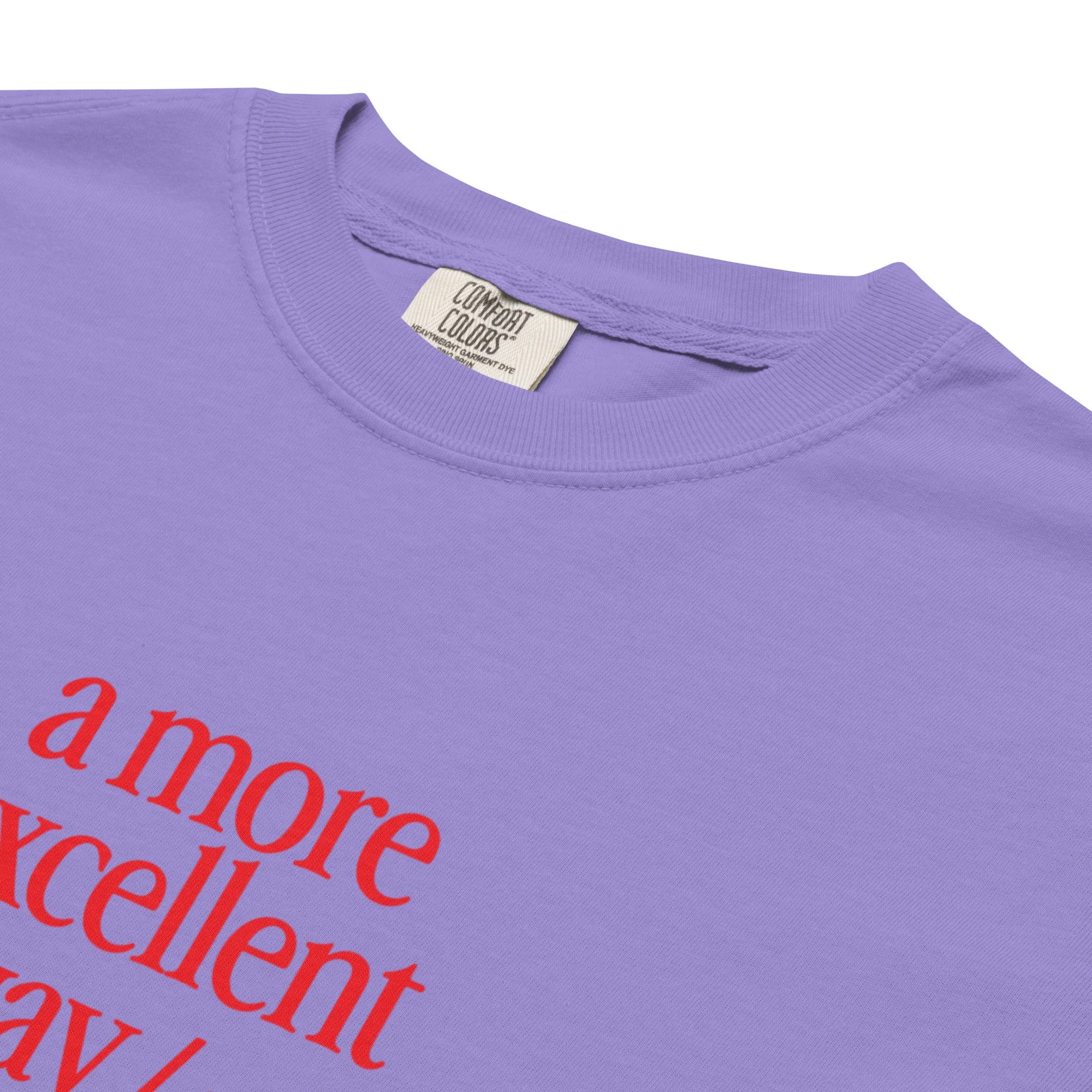 unisex-garment-dyed-heavyweight-t-shirt-violet-product-details-2-696feb7d1bdb1.jpg