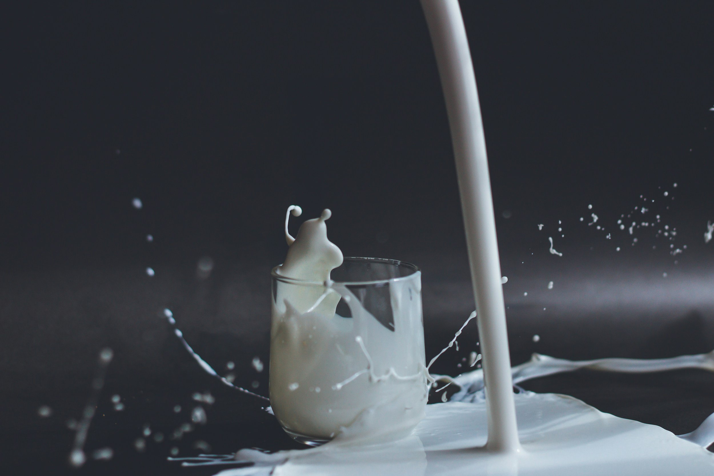 Why We Chose A2A2 Milk (and Why It Matters)