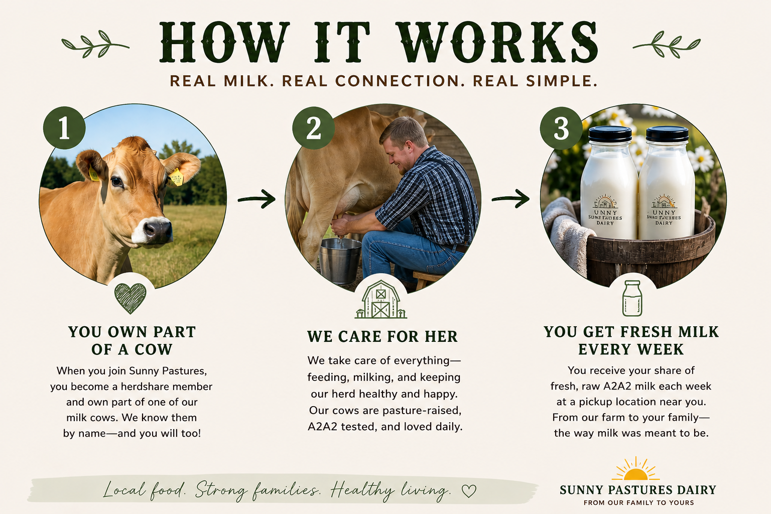 An infographic explaining how Sunny Pastures Dairy operates, with three circular images. The first shows a cow with a tag, representing owning part of a cow. The second depicts a man caring for a cow in a barn, symbolizing taking care of her. The third displays bottles of fresh milk labeled Sunny Pastures Dairy. Below, text describes the process of owning a cow, caring for her, and receiving fresh milk weekly.