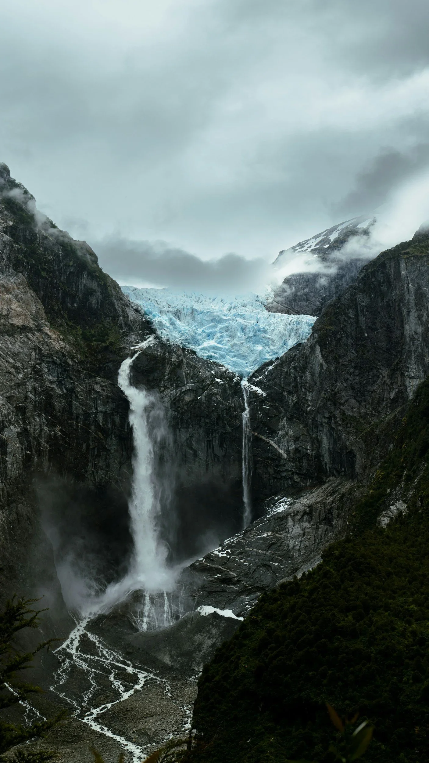 Reorganización e insolvencias