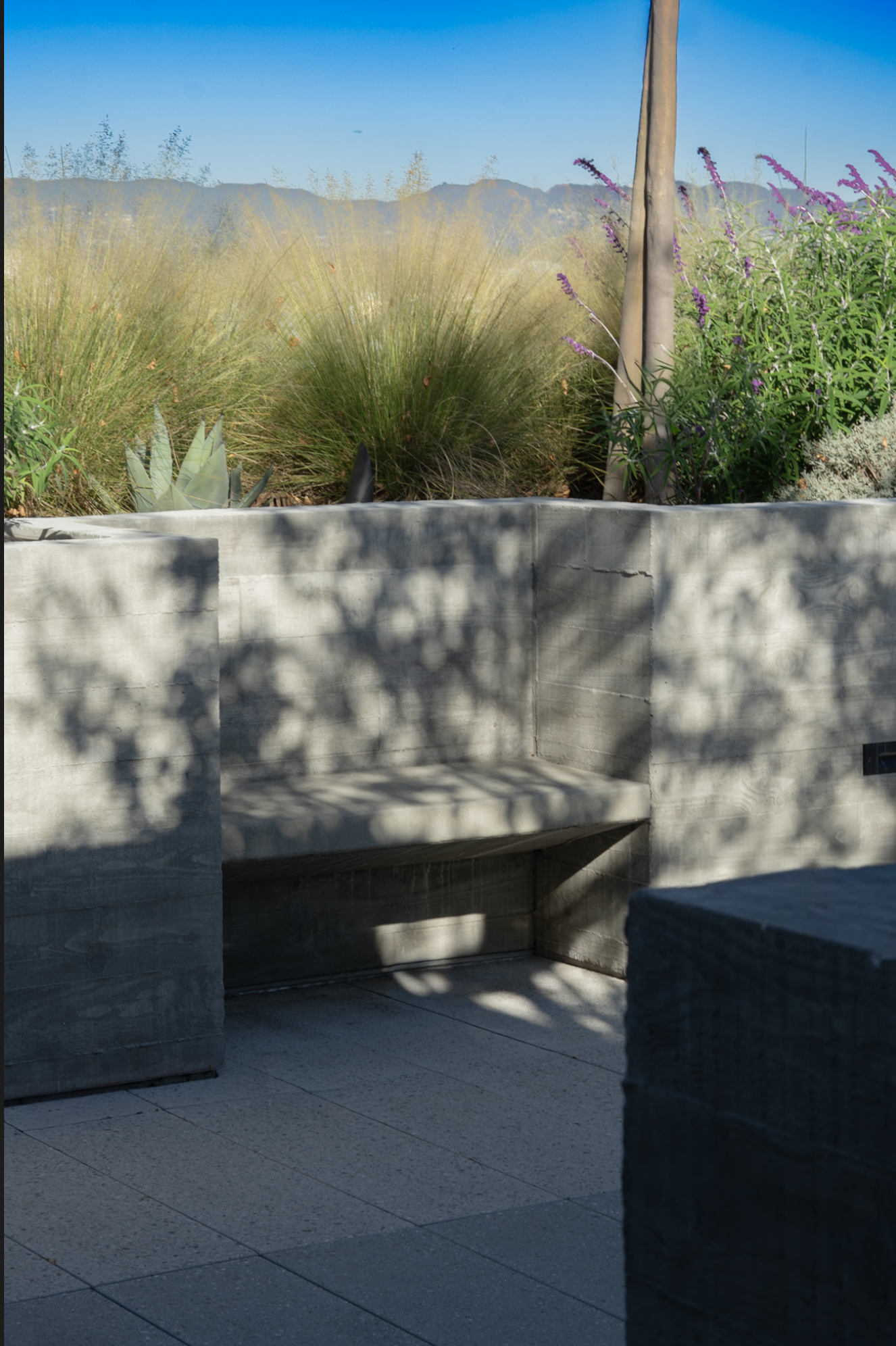 A concrete outdoor seating area with a built-in bench, located in front of a planter box filled with tall ornamental grasses and purple flowering plants. Shadows of trees cast on the seating and pavement, with mountains and a clear blue sky in the ba