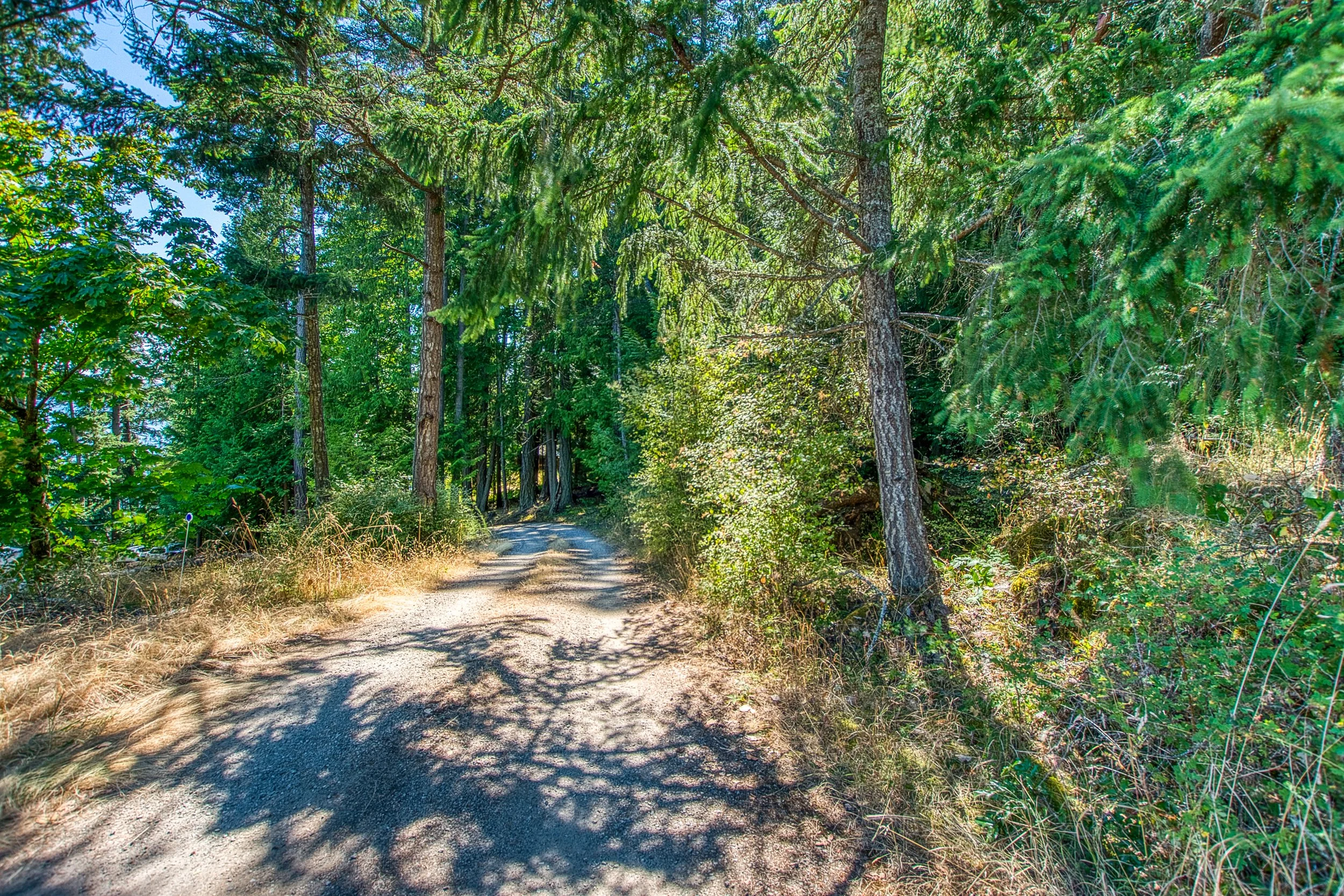 239 Killibrew Lake Rd -29.jpg