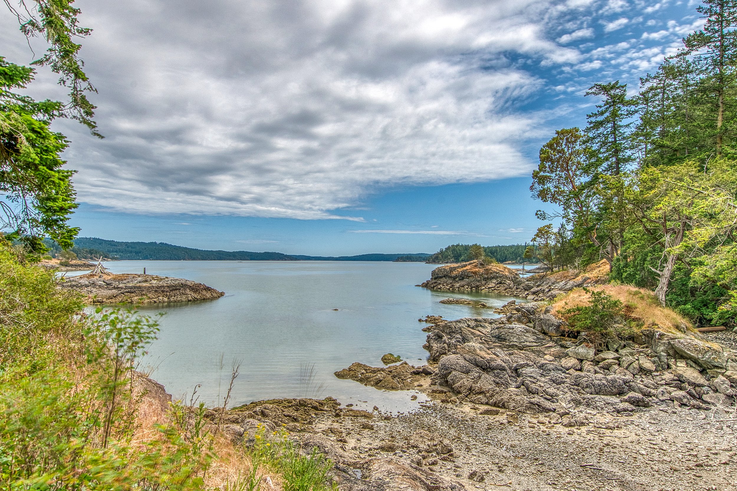 3388 Deer Harbor -33.jpg