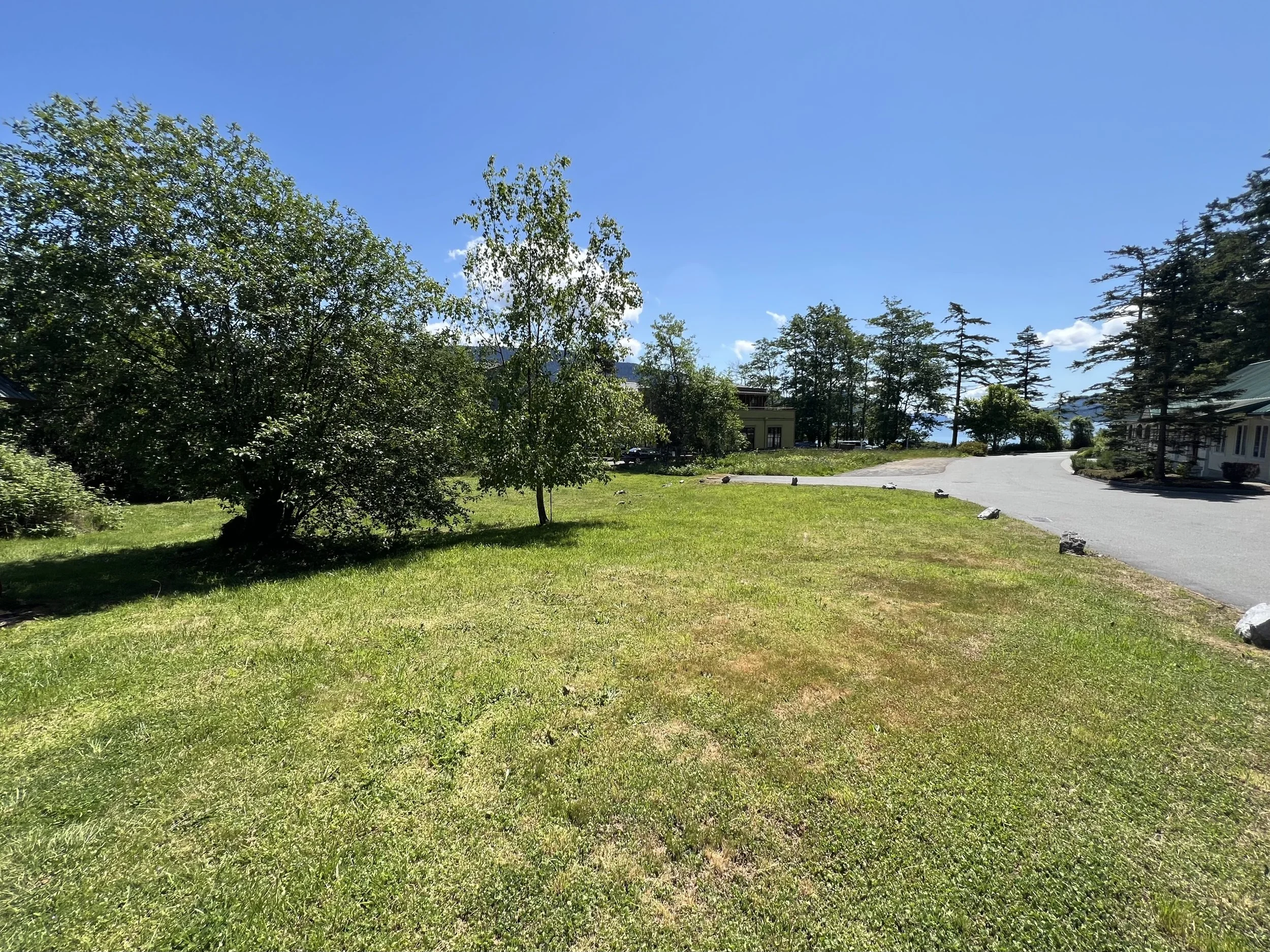 Lot looking south.jpg