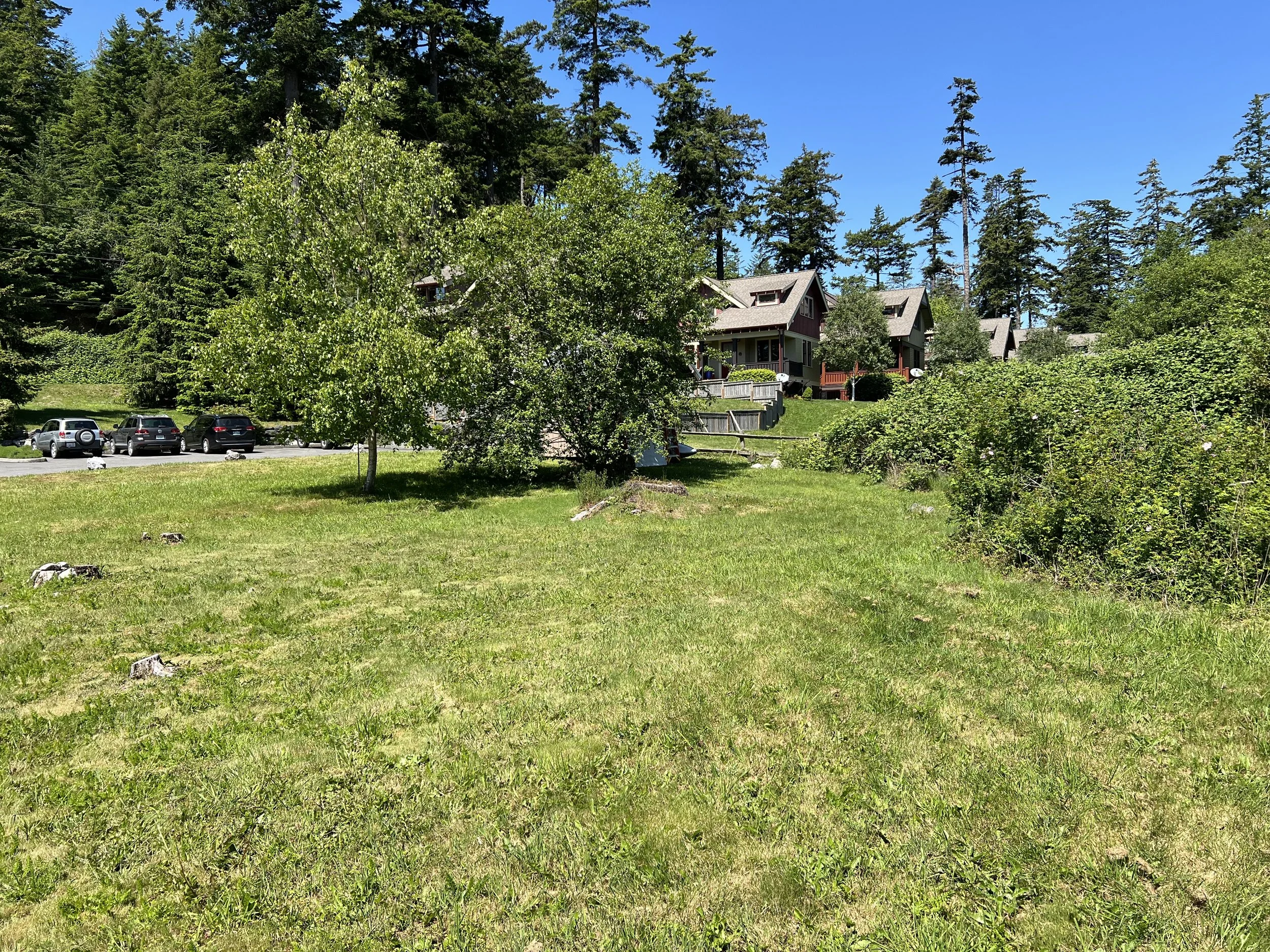 Lot looking north.jpg