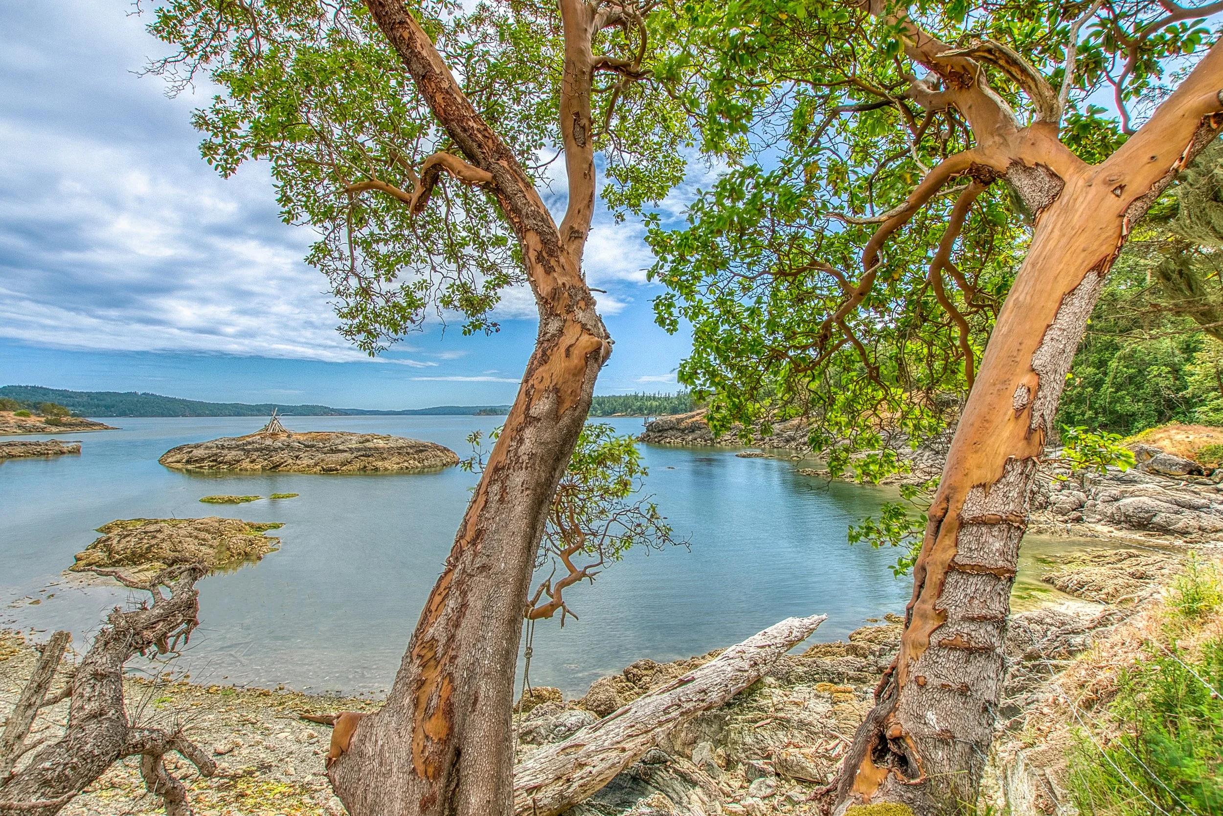 3388 Deer Harbor -35.jpg