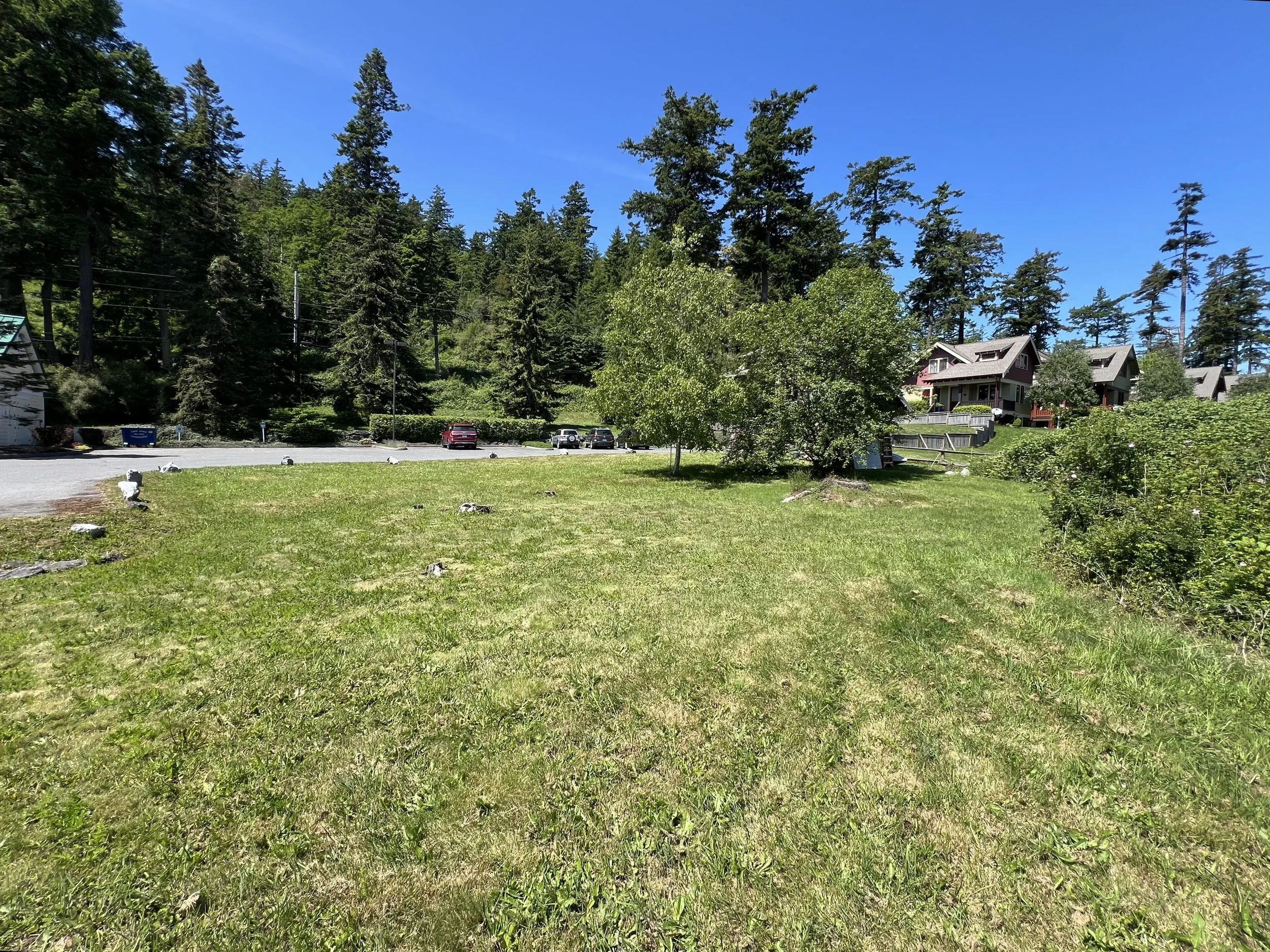 Lot looking north wide.jpg