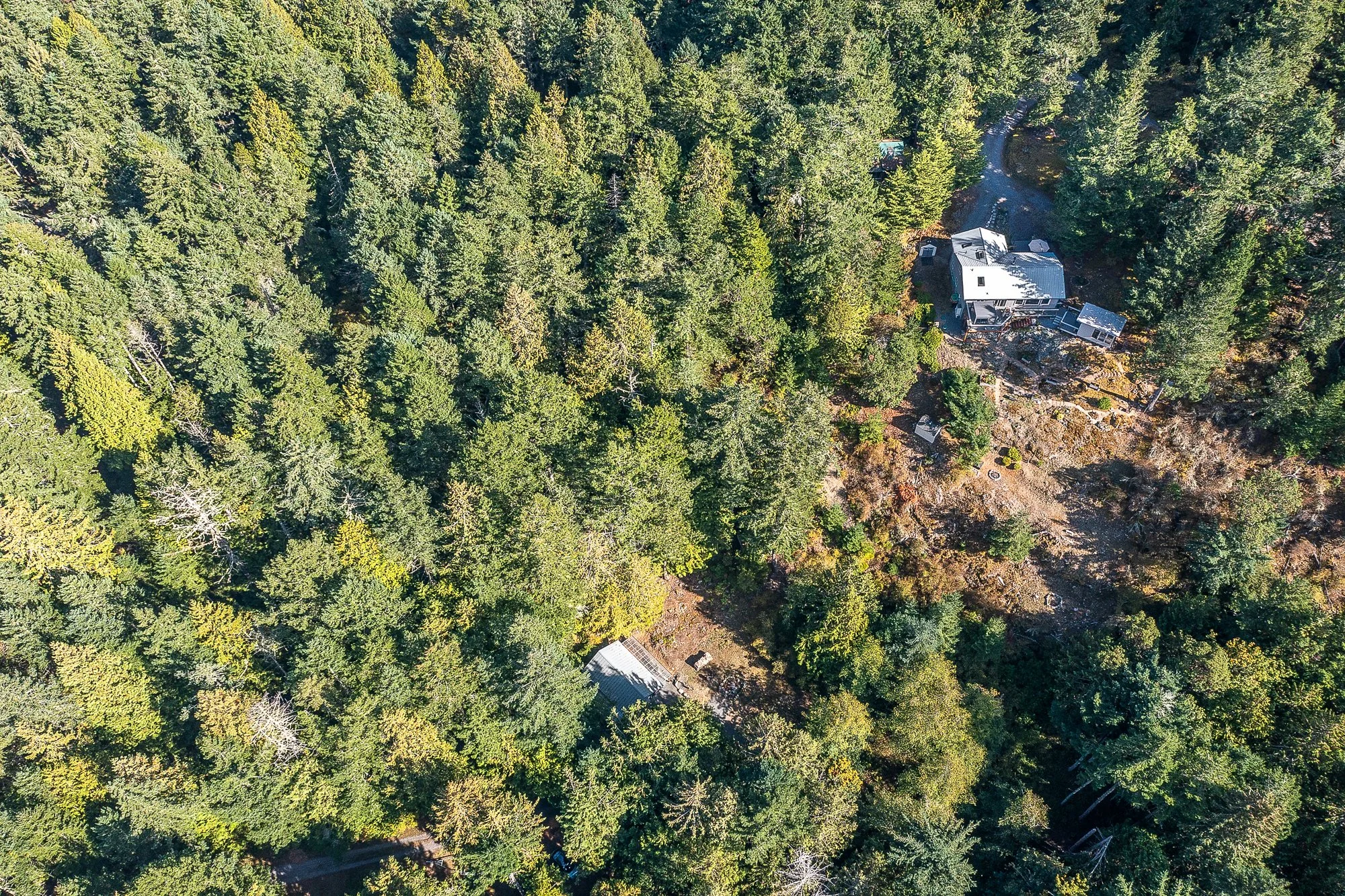 153 Walker Dr Aerial -5.jpg