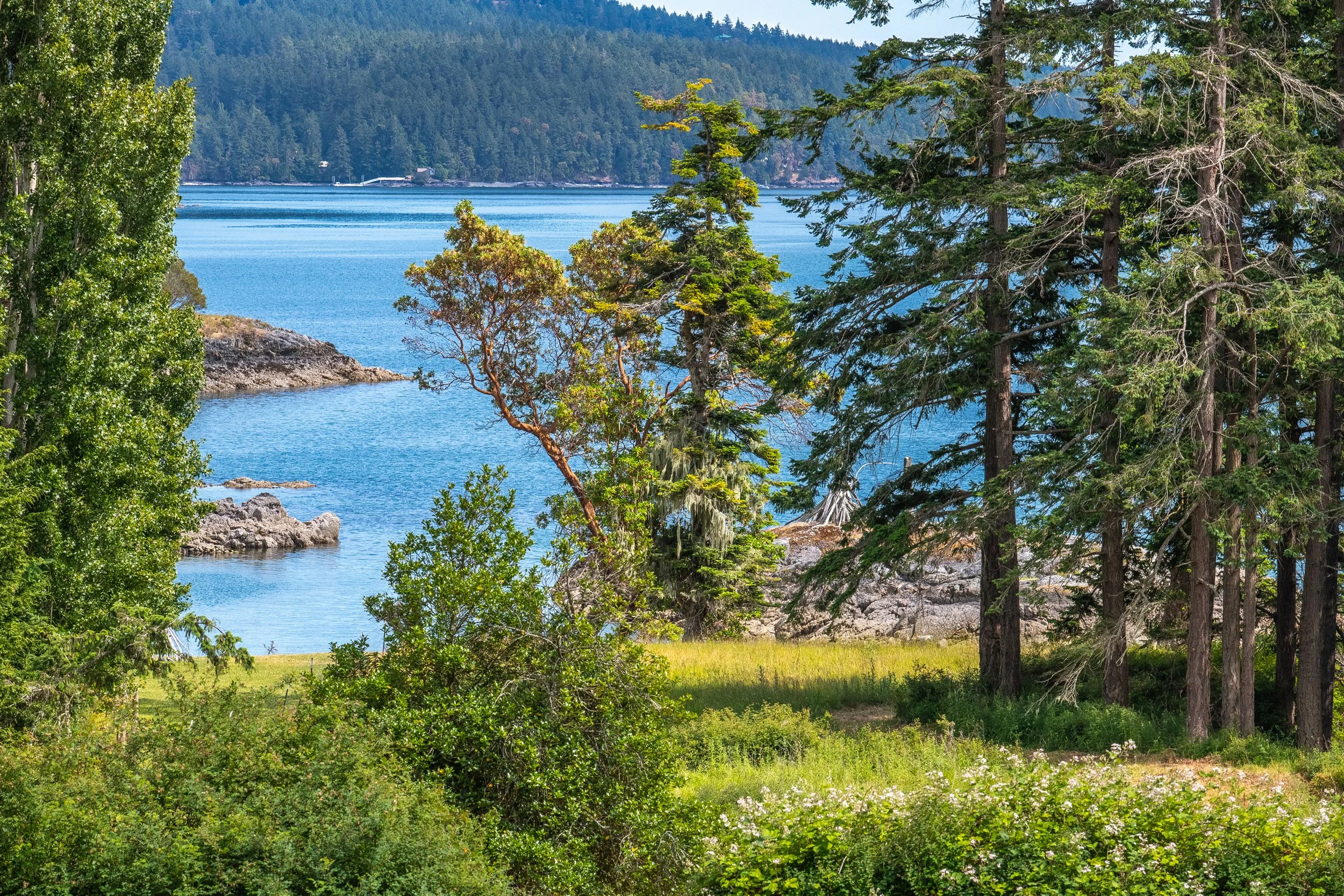 3388 Deer Harbor View -6.jpg