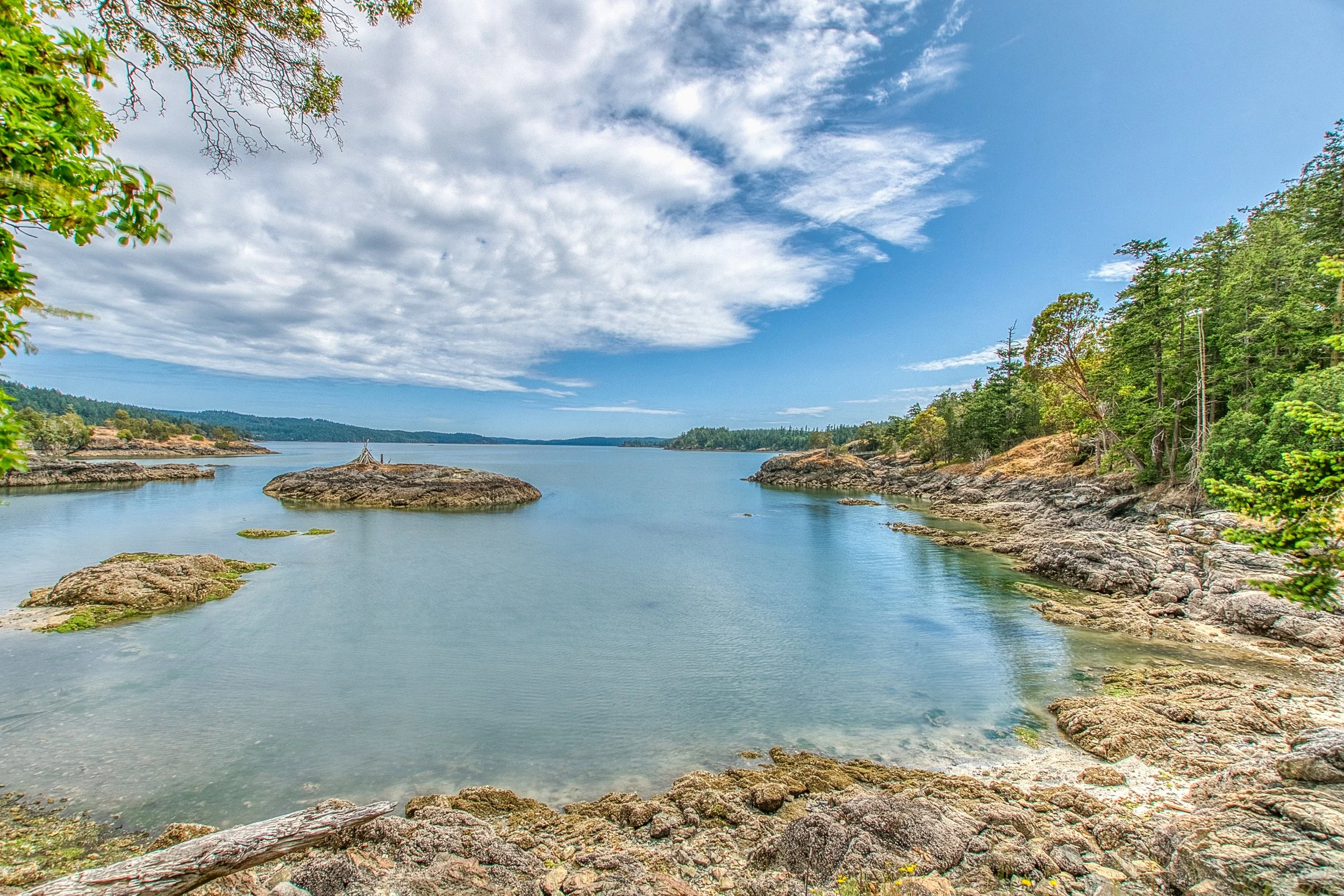 3388 Deer Harbor -37 (1).jpg