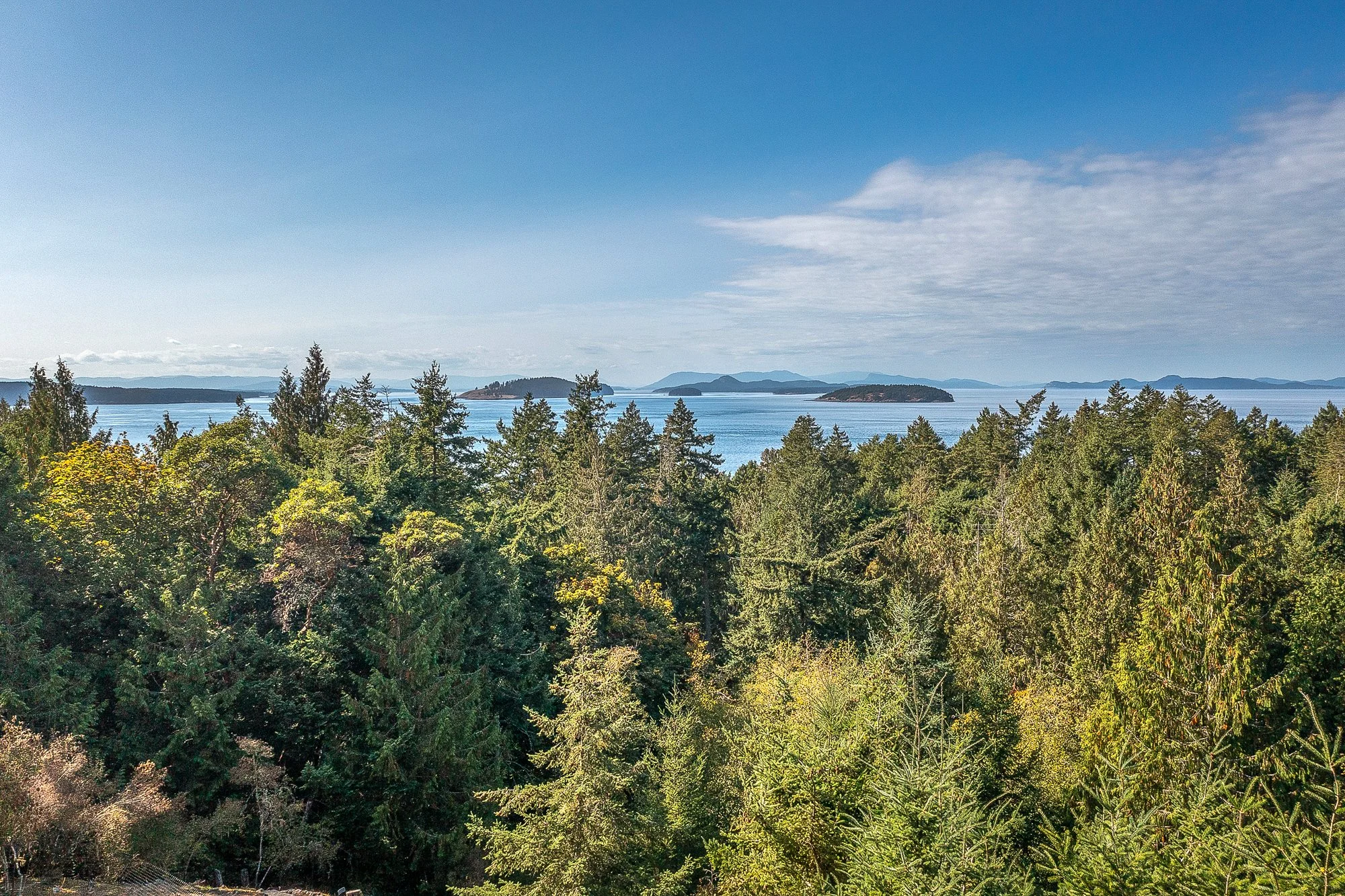 153 Walker Dr Aerial -1.jpg