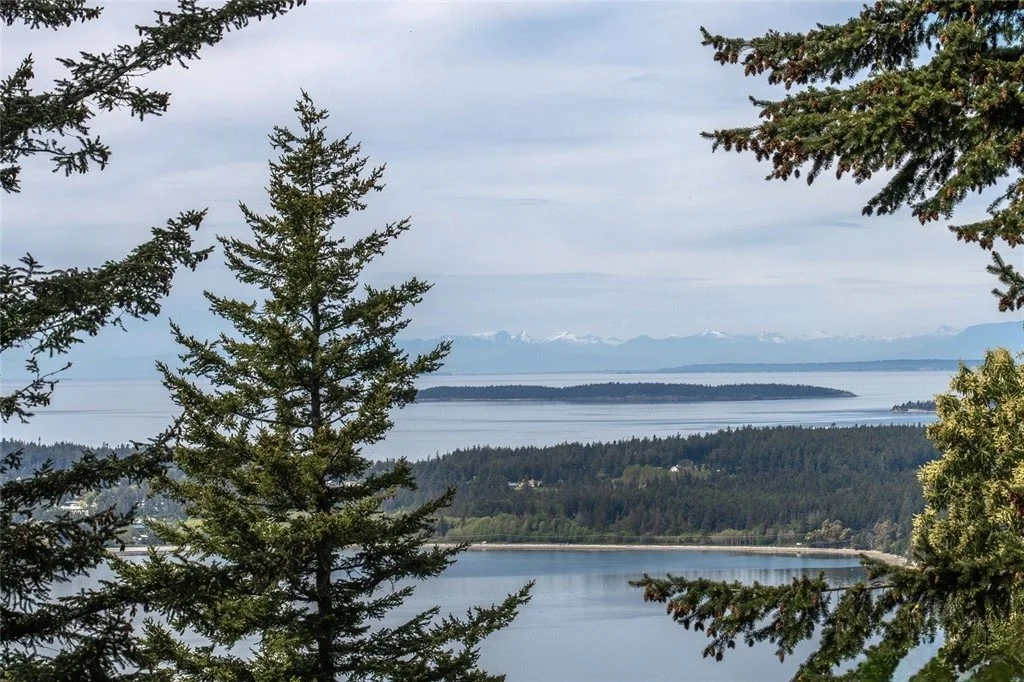 GetMedia.ashx-5 2.jpg