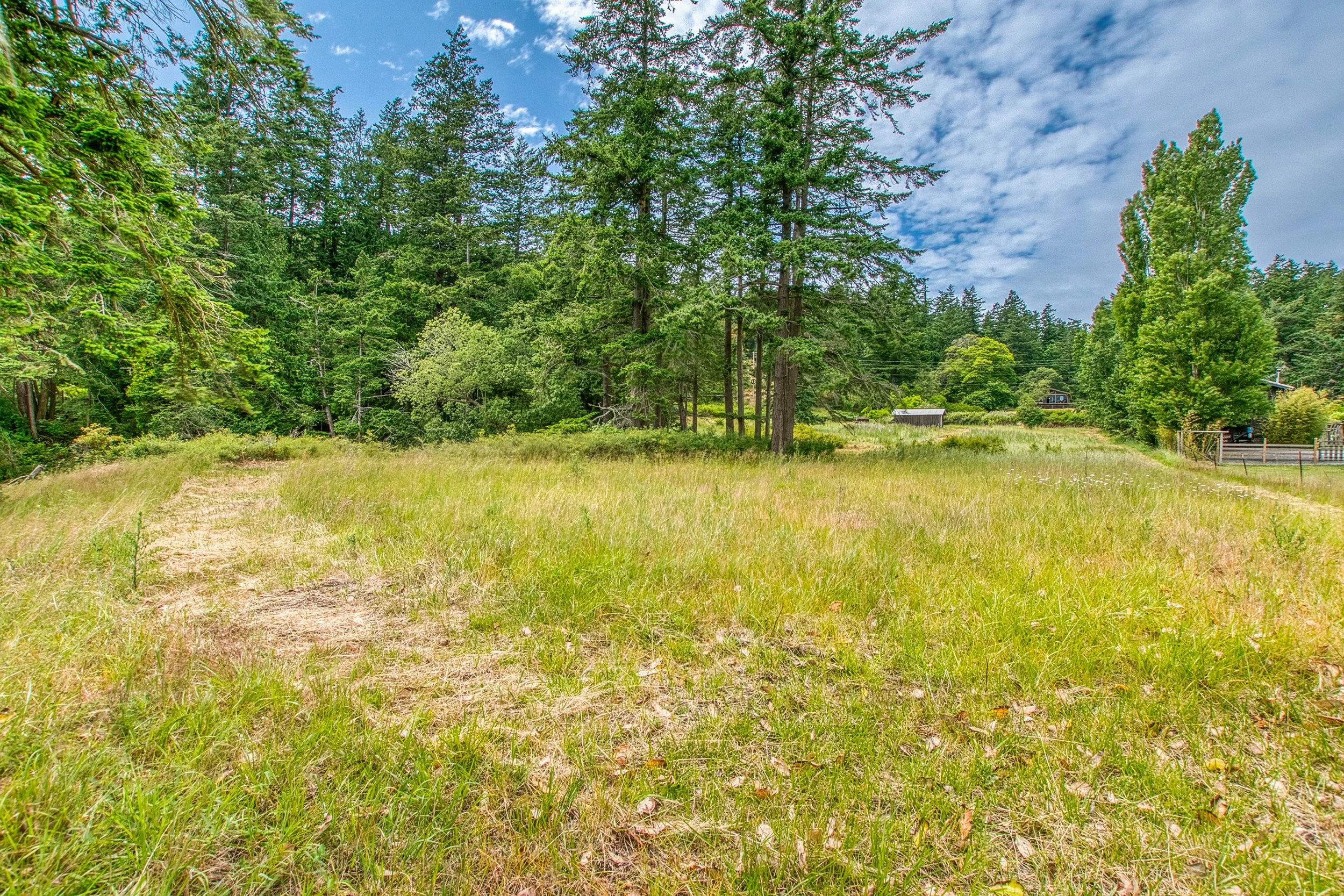 3388 Deer Harbor -36.jpg