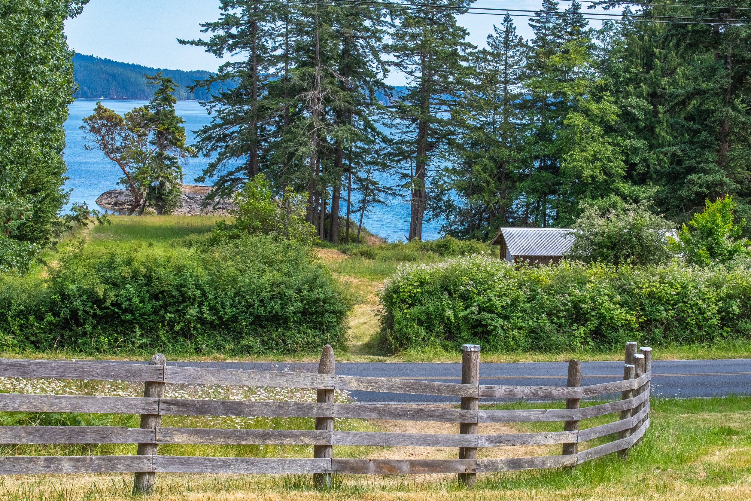 3388 Deer Harbor View -3.jpg