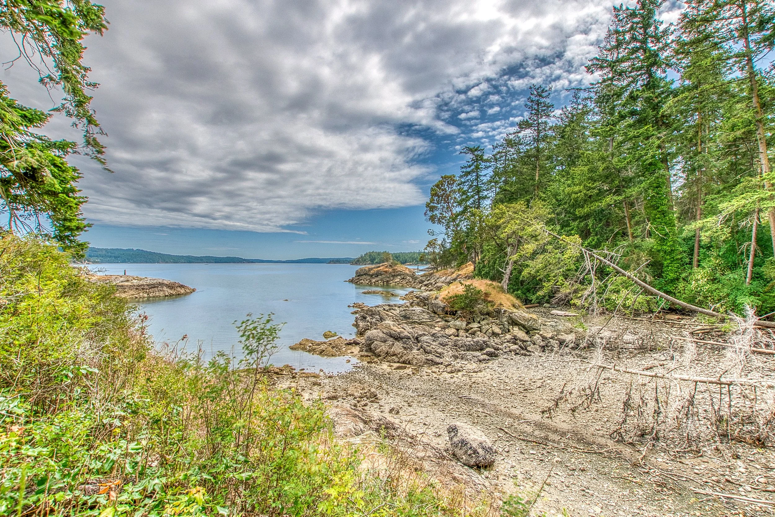 3388 Deer Harbor -32.jpg