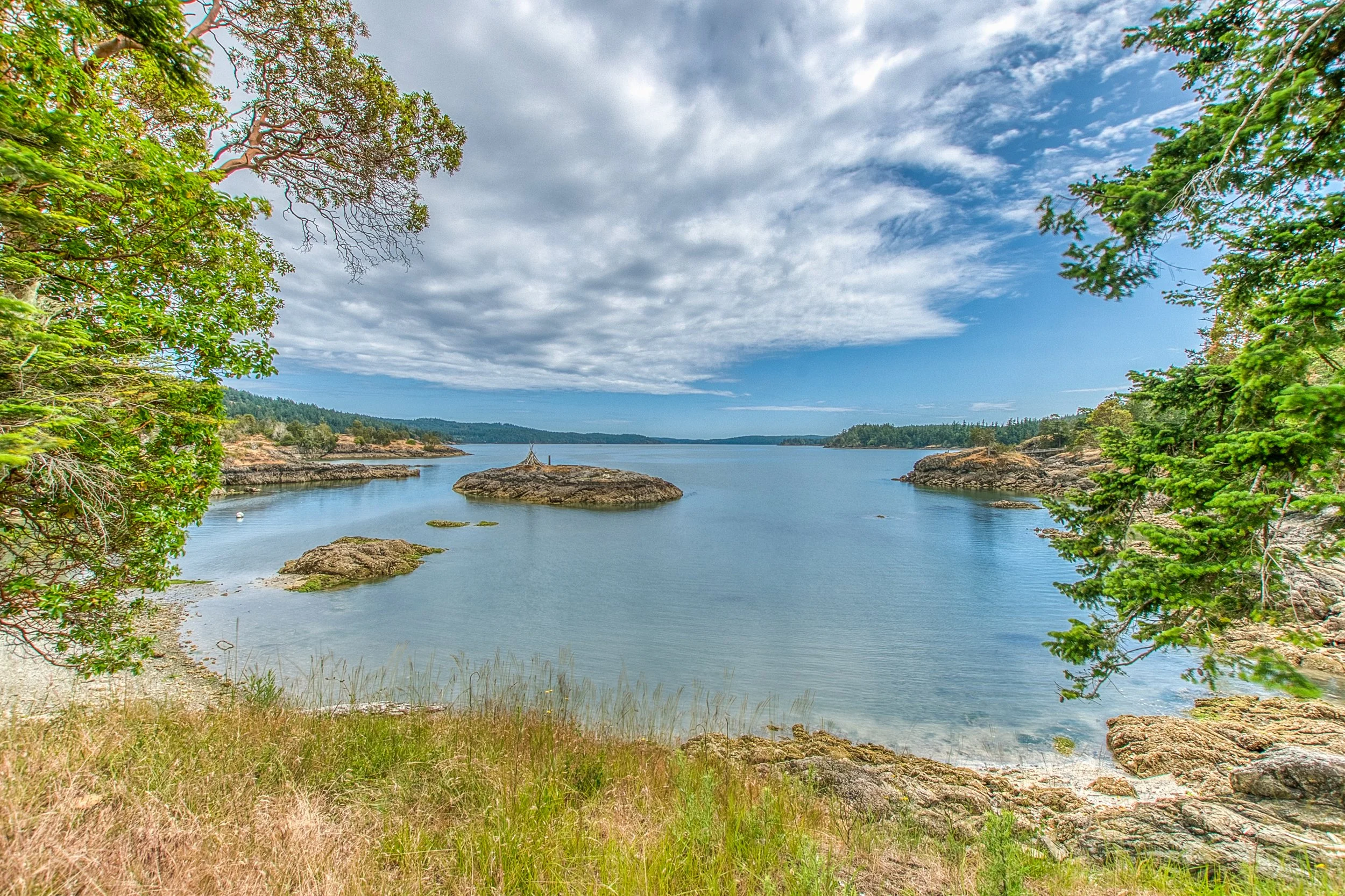 3388 Deer Harbor -34 (1).jpg