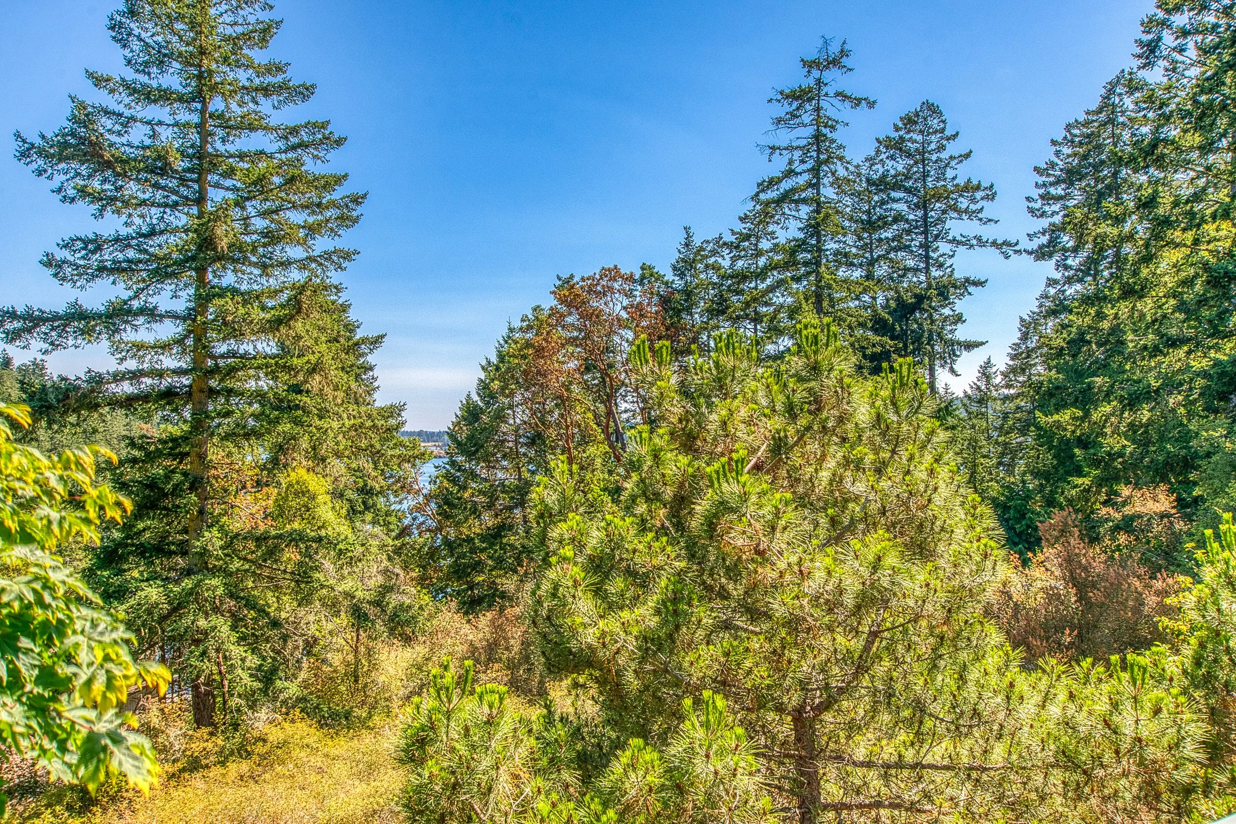 239 Killibrew Lake Rd -26.jpg