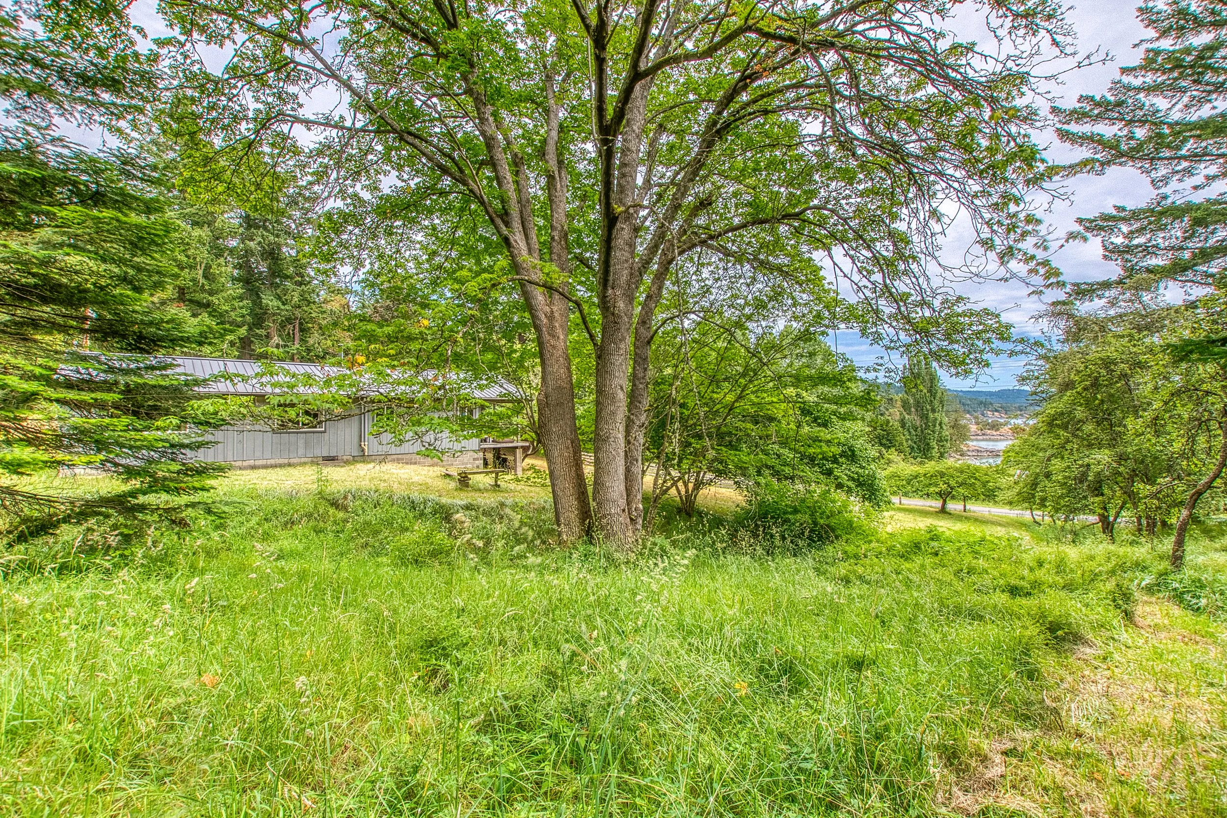 3388 Deer Harbor -22.jpg