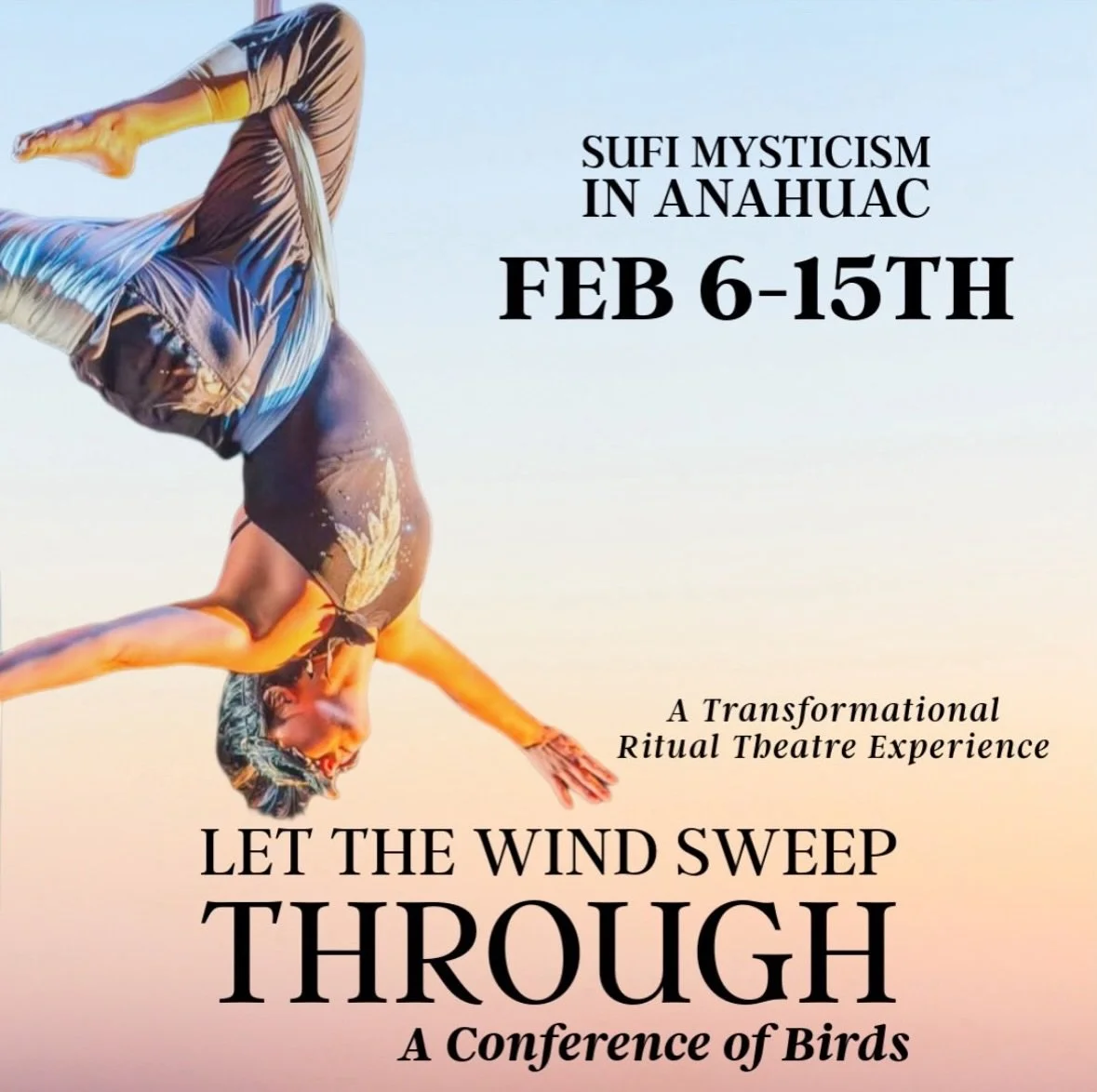 The flock is gathering! Our community-based, ritual theatre experience takes flight at Marin Shakespeare Theatre this winter.
📅 Dates: Jan 23&ndash;Feb 15, 2026
🎟️ Suggested donation tickets &mdash; everyone welcome
Join us for a journey of movemen