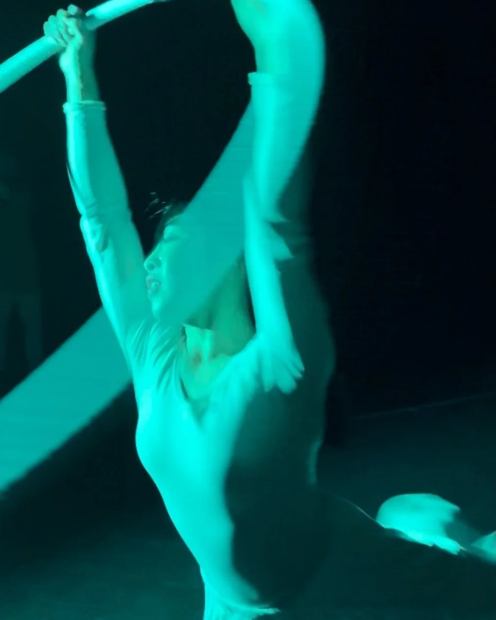 Dove 🕊️ - Rosemary Le  Photo by @jordanrushbloch
Let The Wind Sweep Through 2026