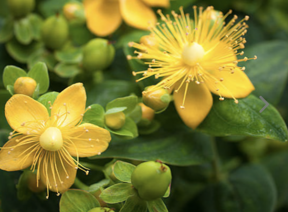 Screenshot 2026-03-14 at 10.05.08 PM.png