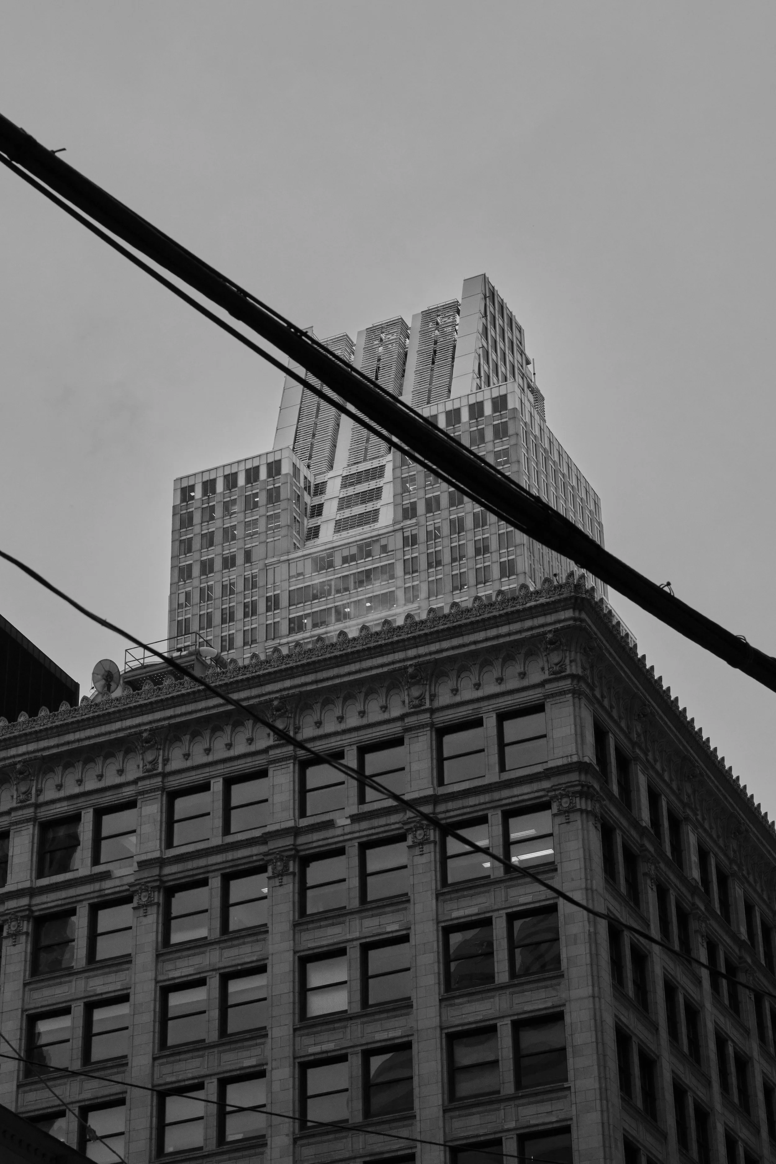 IMG_0505.jpeg