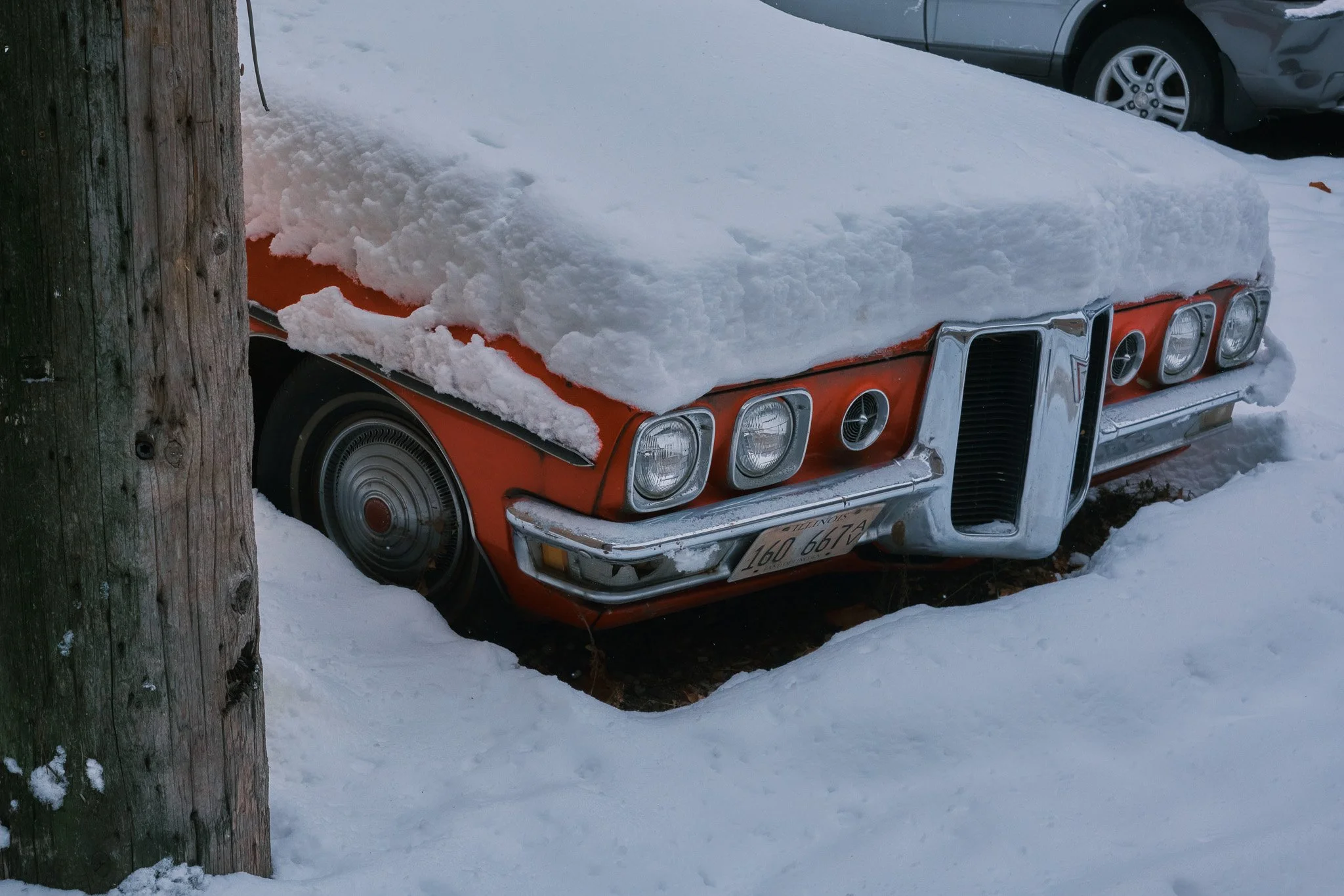 DSCF7510.jpg