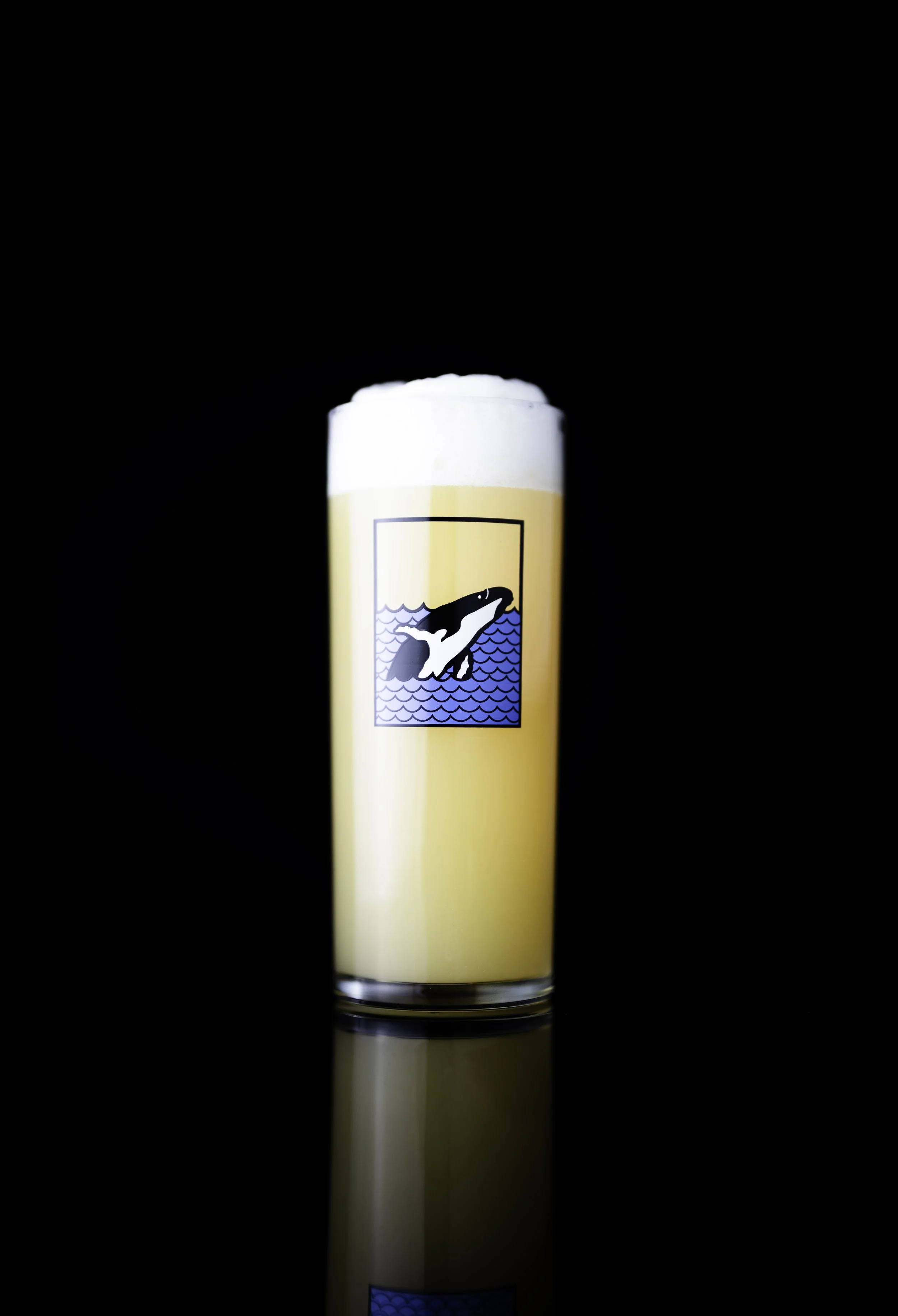 FinbackGlass.jpg