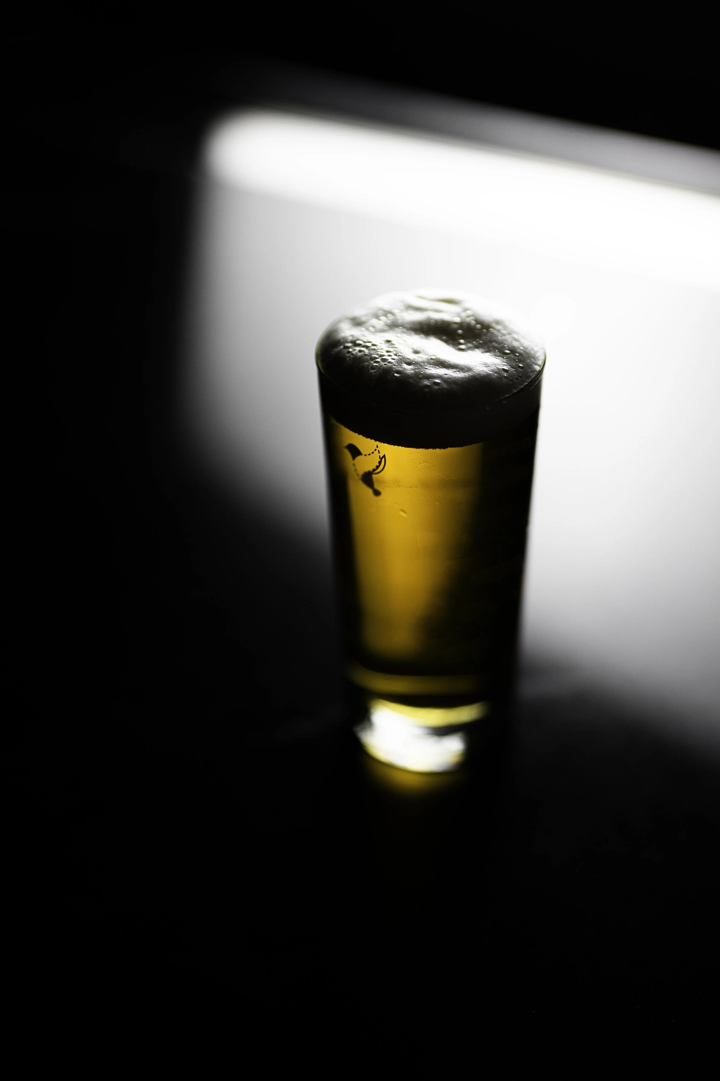 Elm_Lager_Draft_10_23 copy.jpg