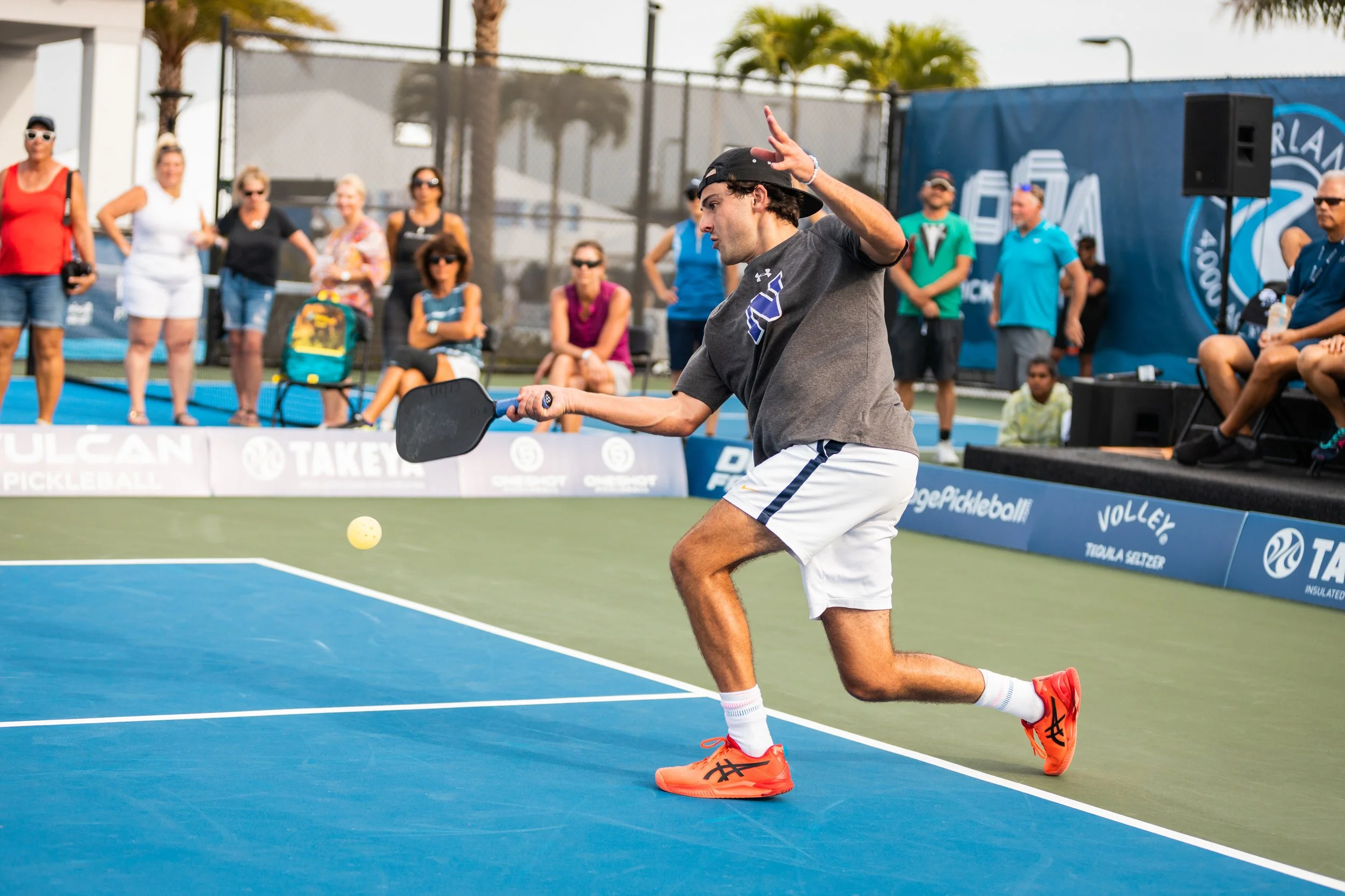 How to Build a Backyard Pickleball Court (From a Pro Who’s Played on the Best and Worst)