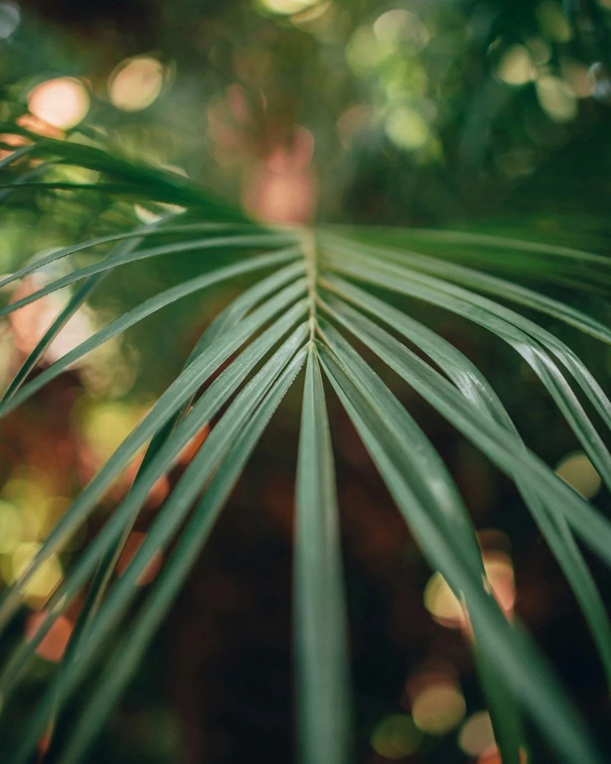 New Guild Officers for 2026